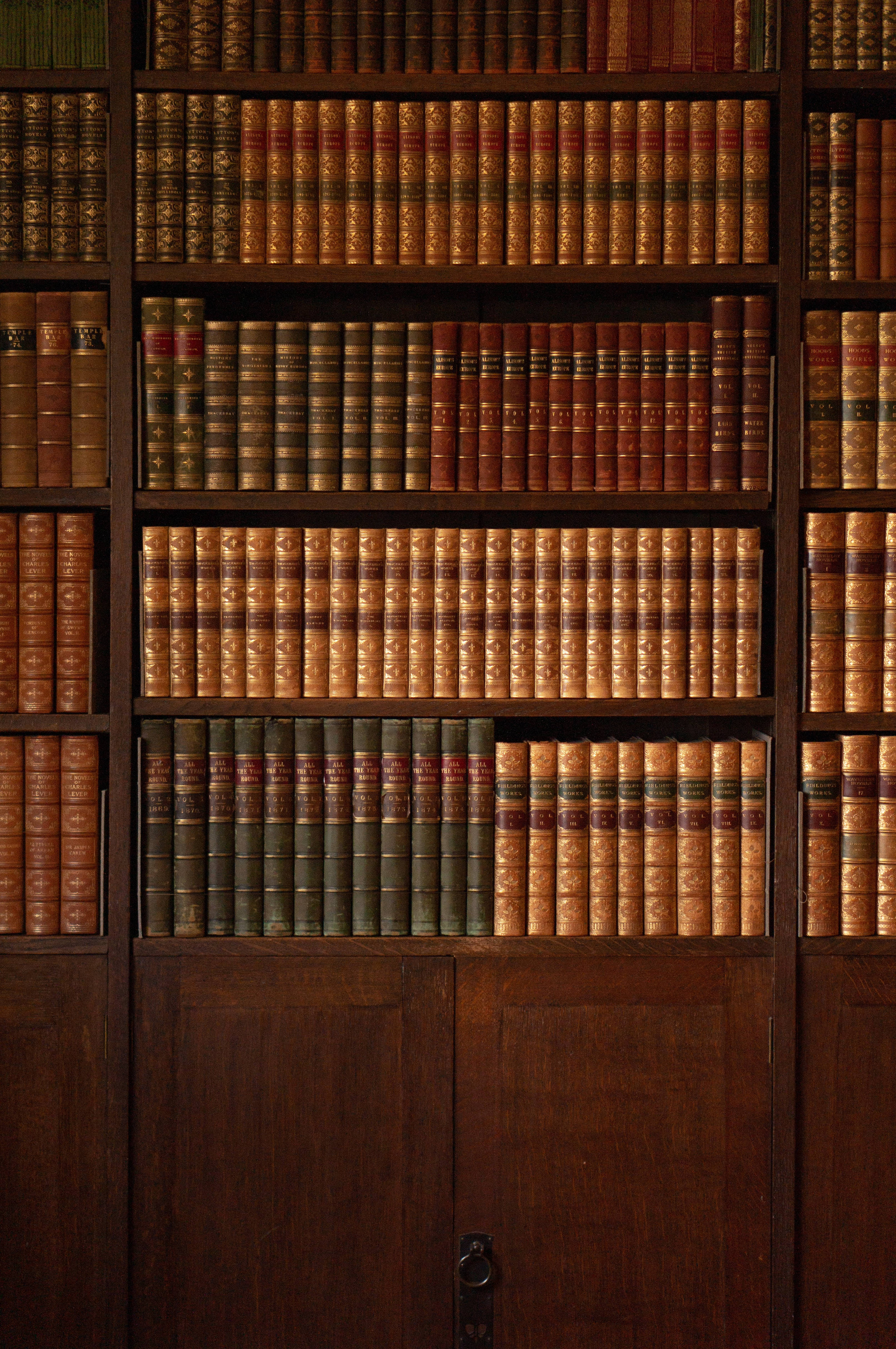 Bibliotecă vintage estetică magnifică Fundal