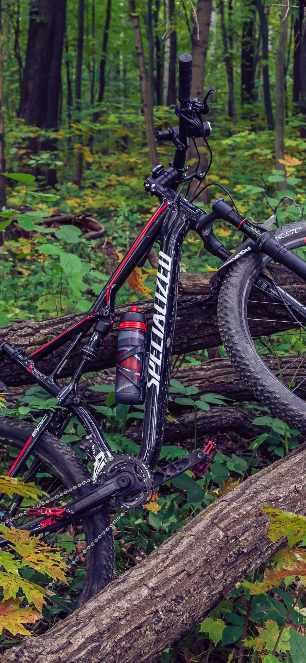 Bicicletă de munte iPhone Pădure Fundal