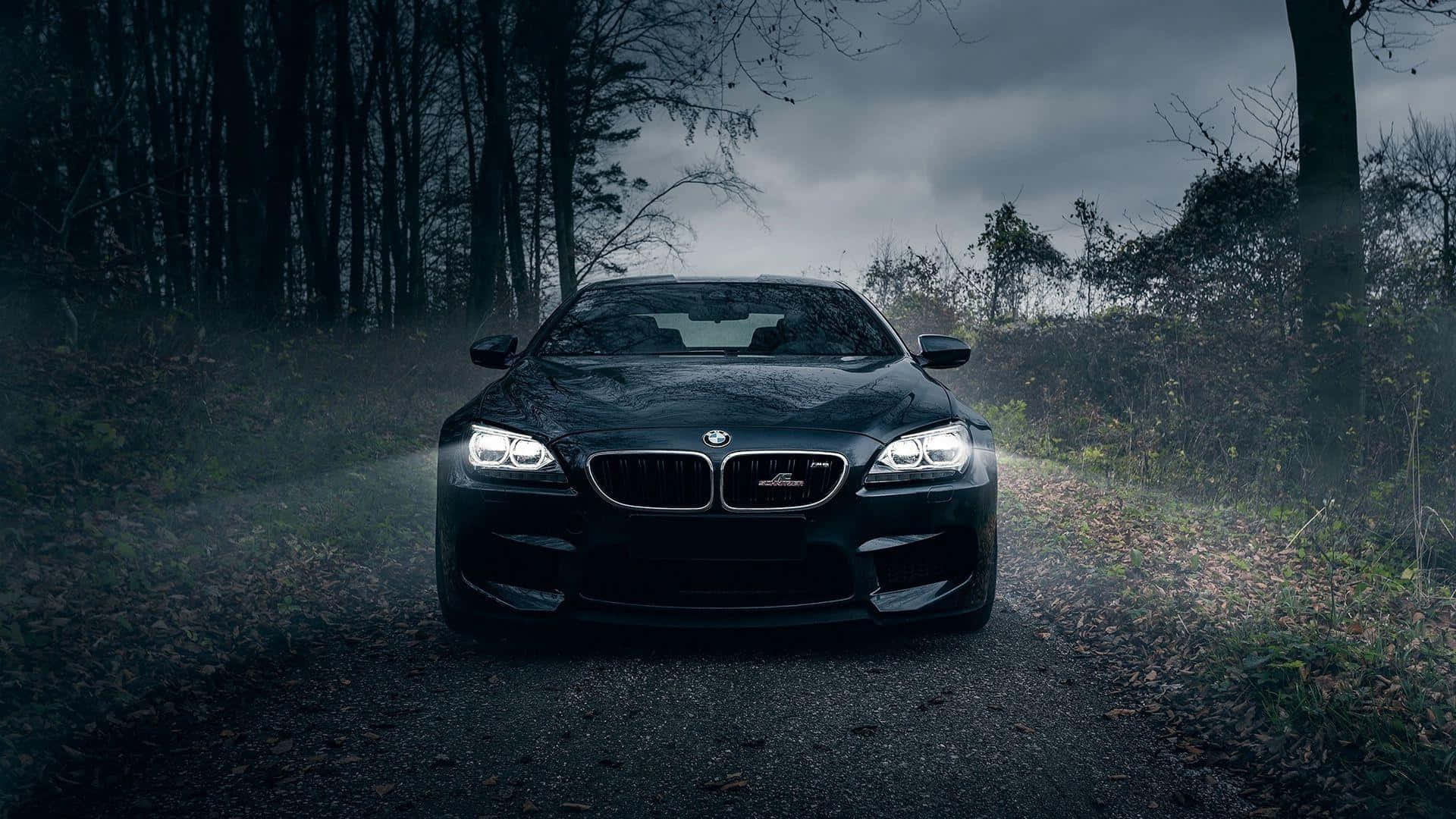 BMW 1920x1080 condus noaptea prin pădure Fundal