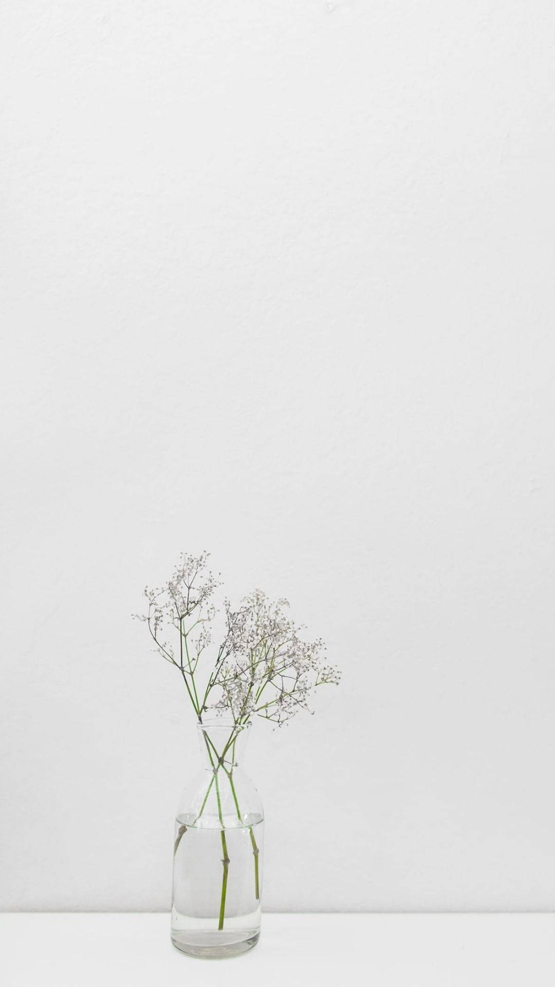 Borcan alb minimalist Fundal