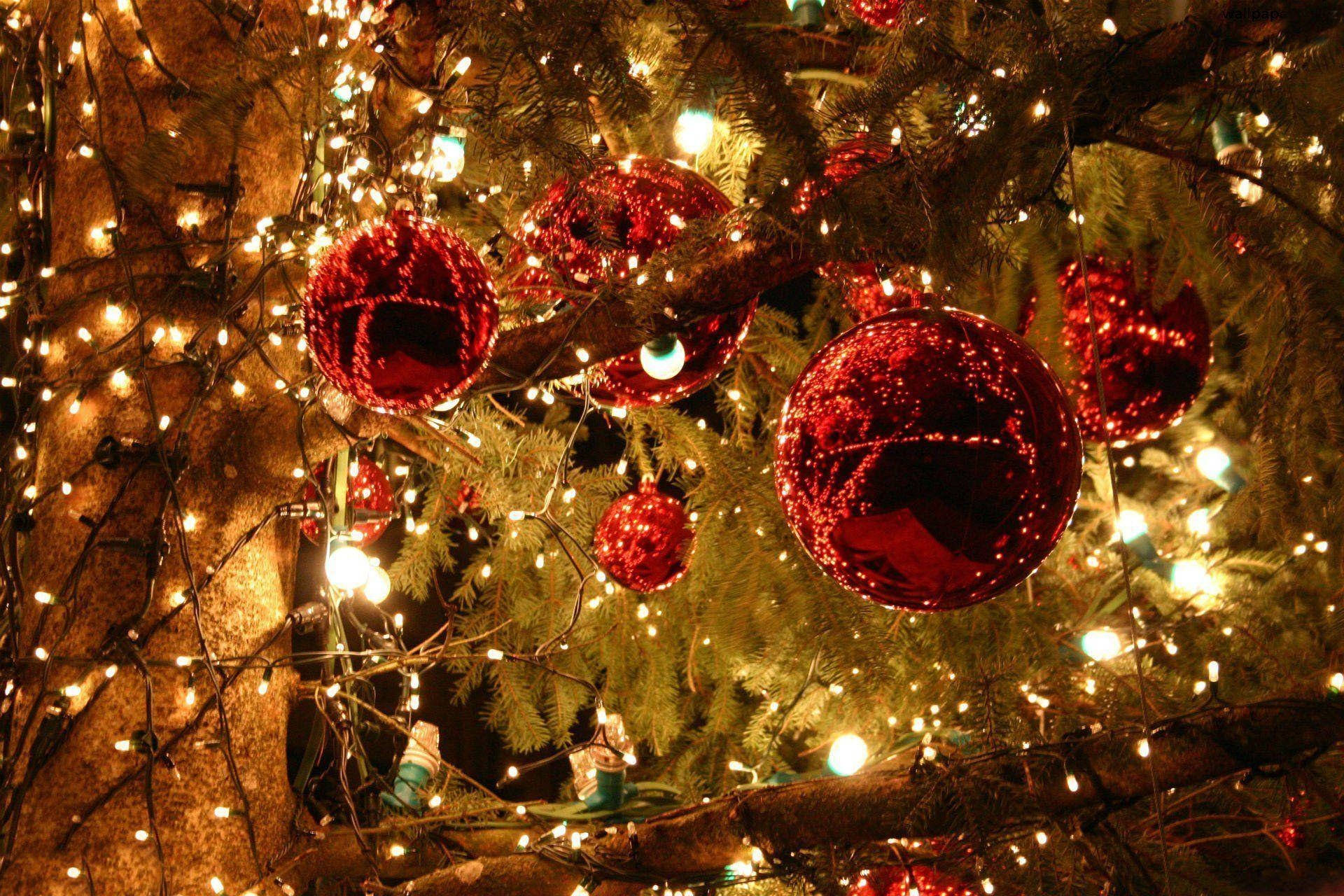 Brad de Crăciun estetic cu lumini festive Fundal