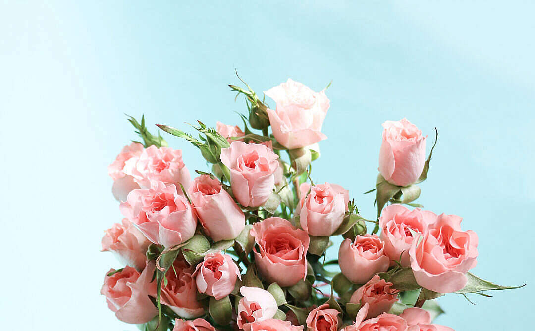 Buchet de flori în estetică pastel roz Fundal