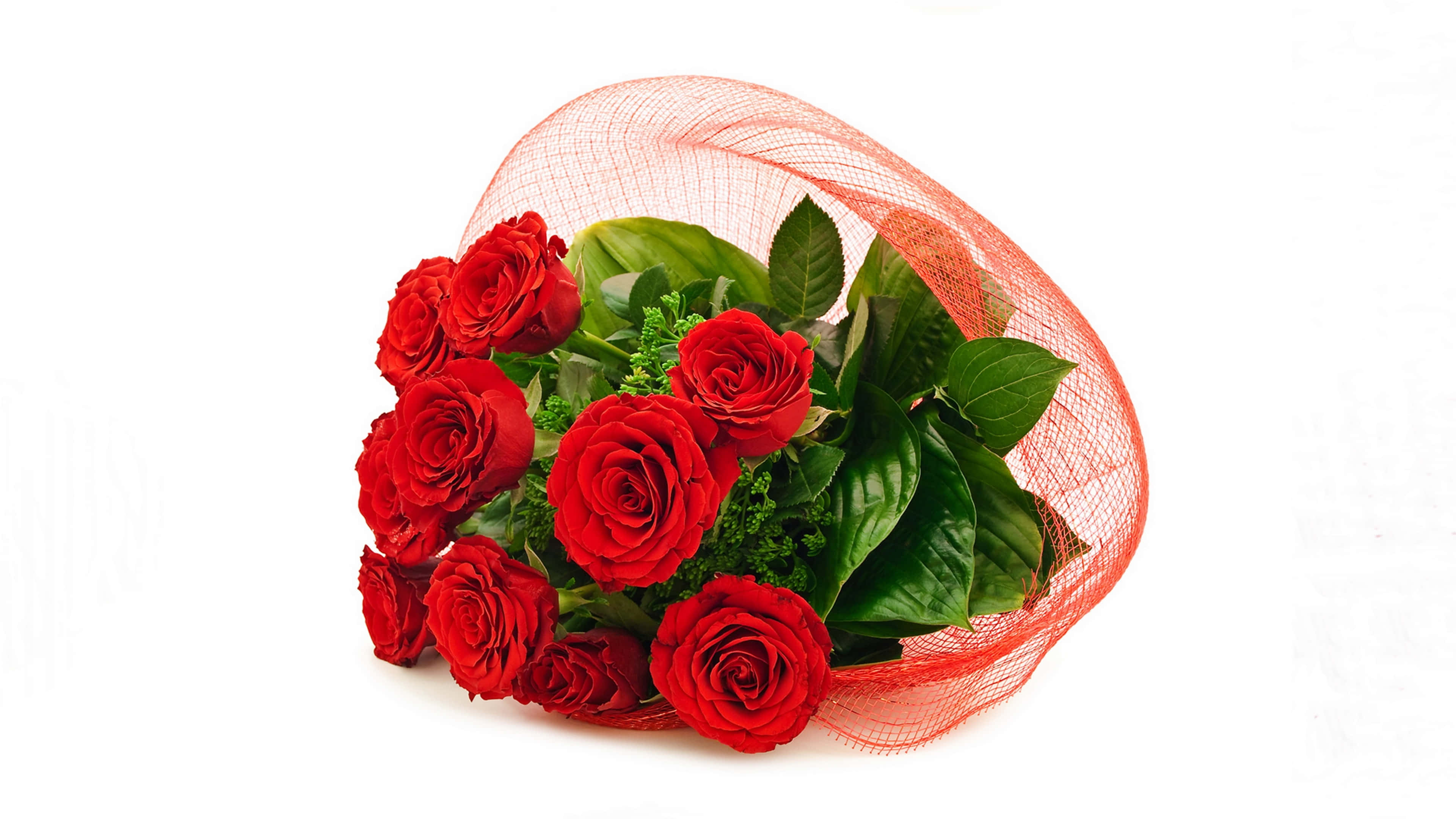 Buchet de trandafiri pentru concurs Fundal