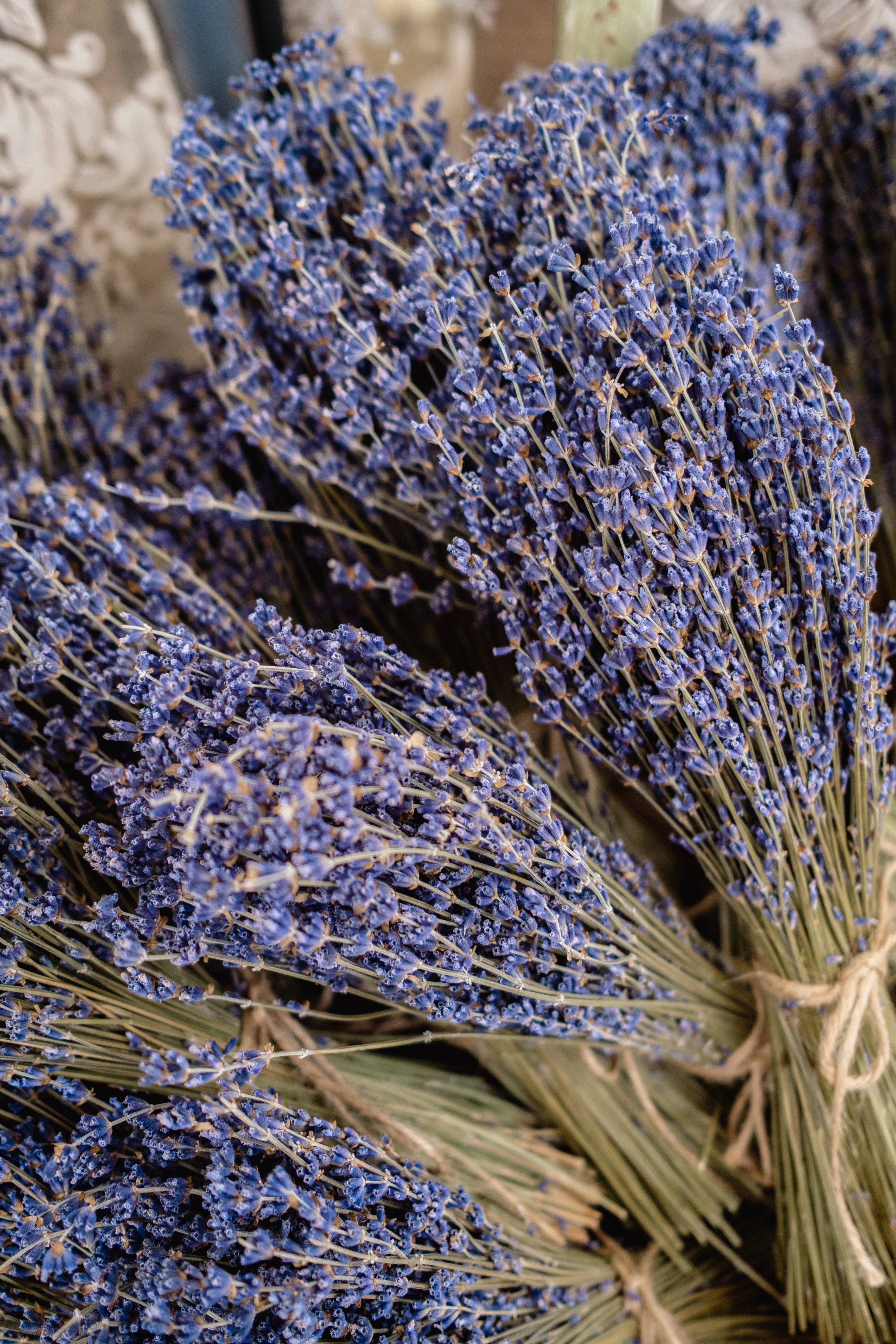 Buchet estetic de lavandă Fundal
