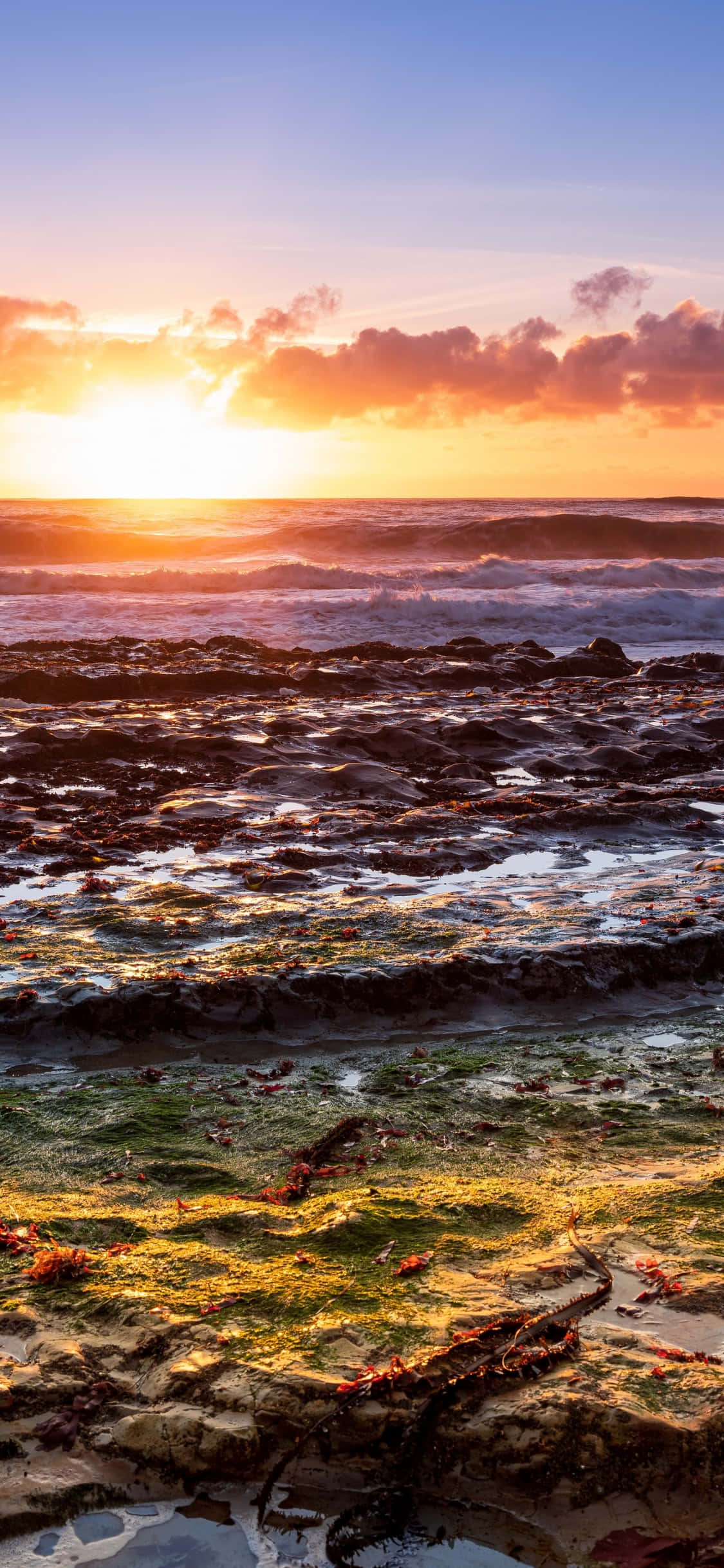 Bucură-te de Coastline California de oriunde, cu iPhone X Fundal