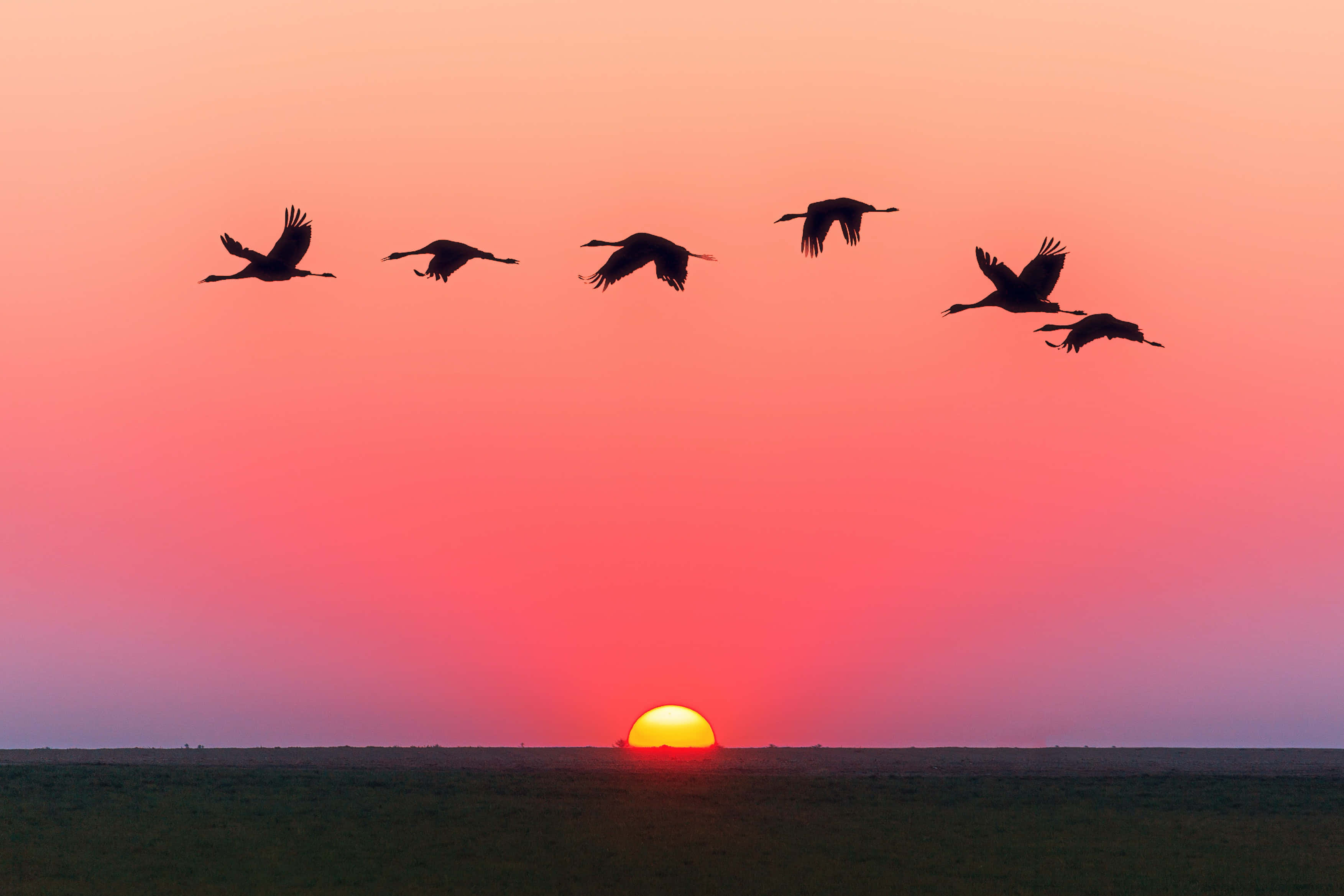 Bucură-te de Frumusețea unui Apus de Soare Fermecător Fundal