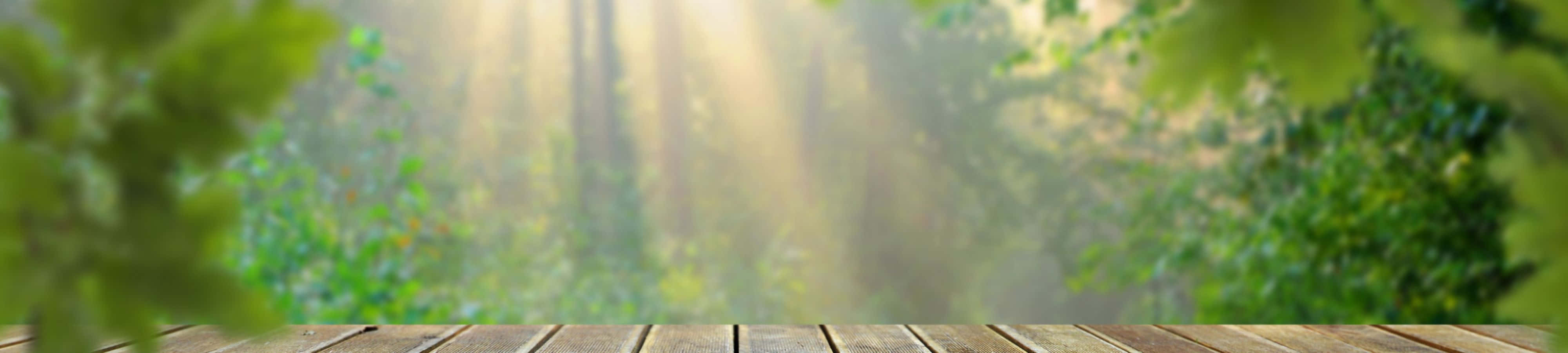 Bucură-te de frumusețea naturii Fundal