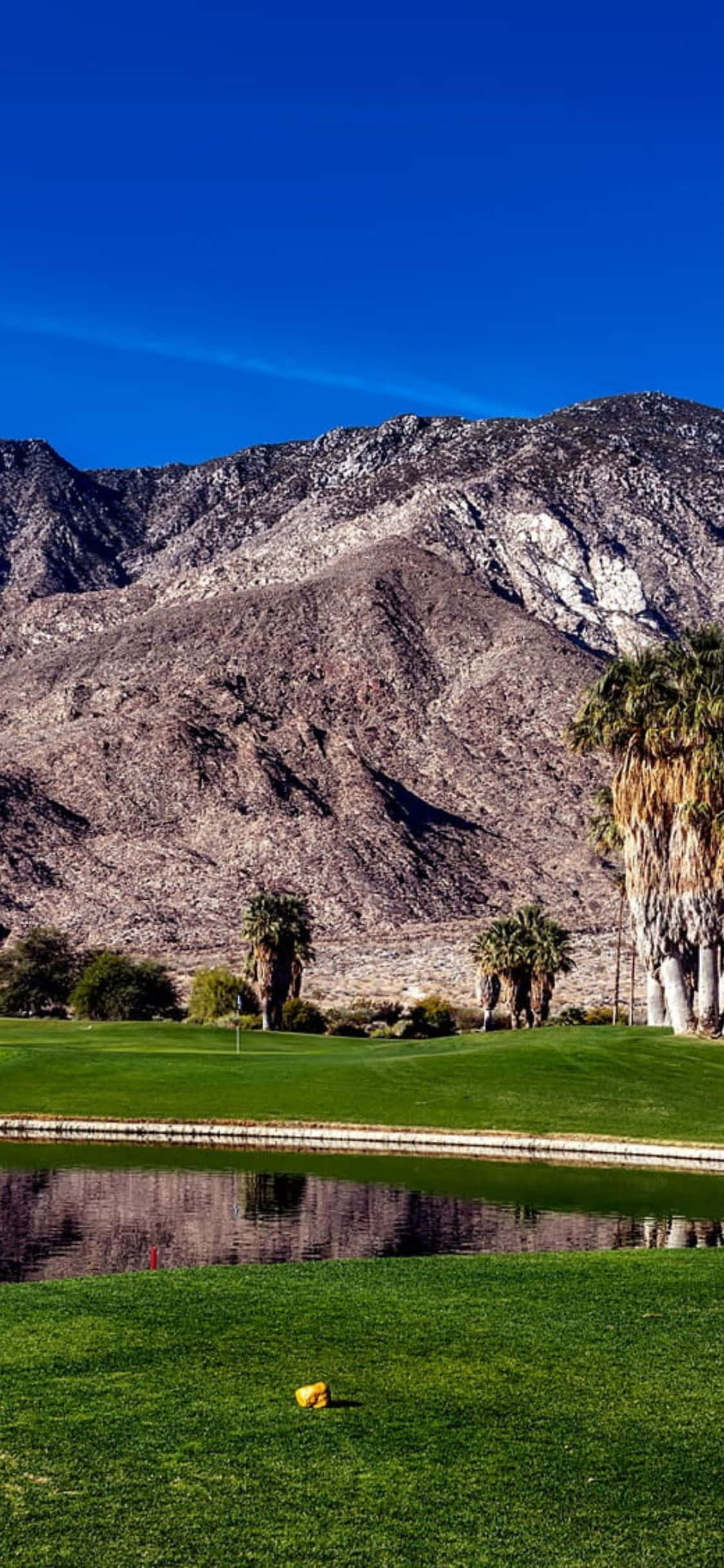 Bucură-te de o rundă de golf cu un iPhone X Fundal