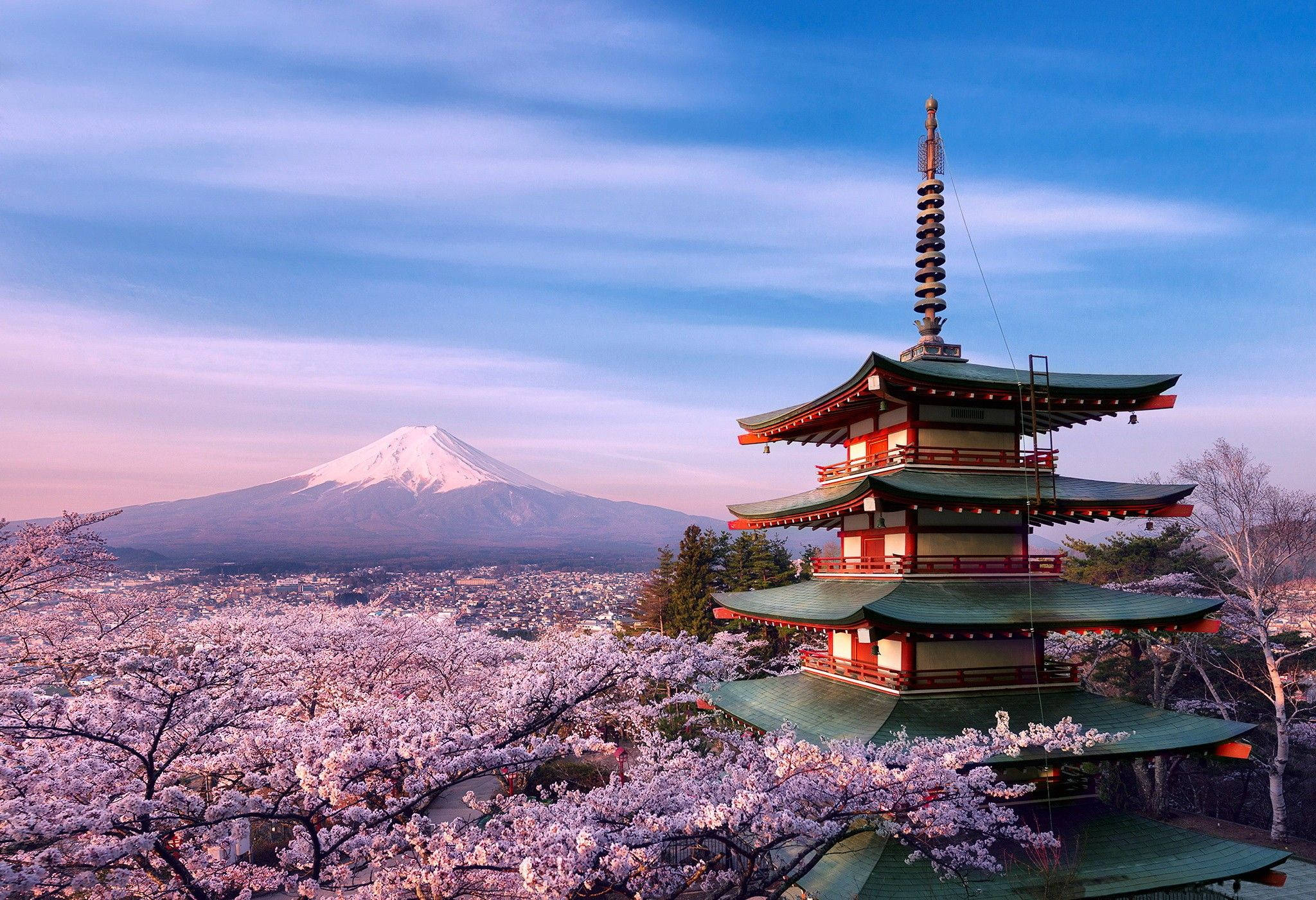 Bucură-te de o priveliște superbă cu flori de cireș în Japonia Fundal