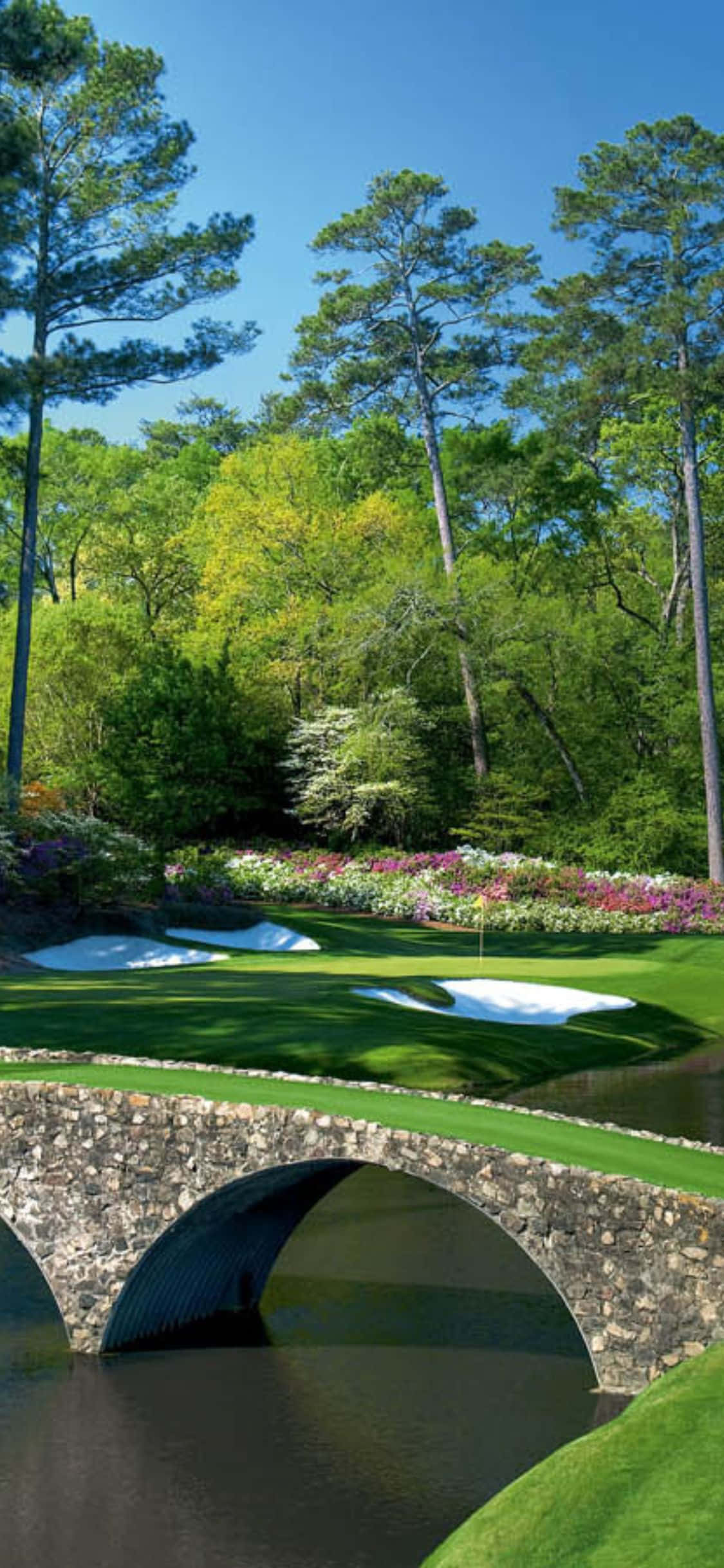 Bucură-te de o rundă de golf în natură frumoasă cu iPhone X Fundal