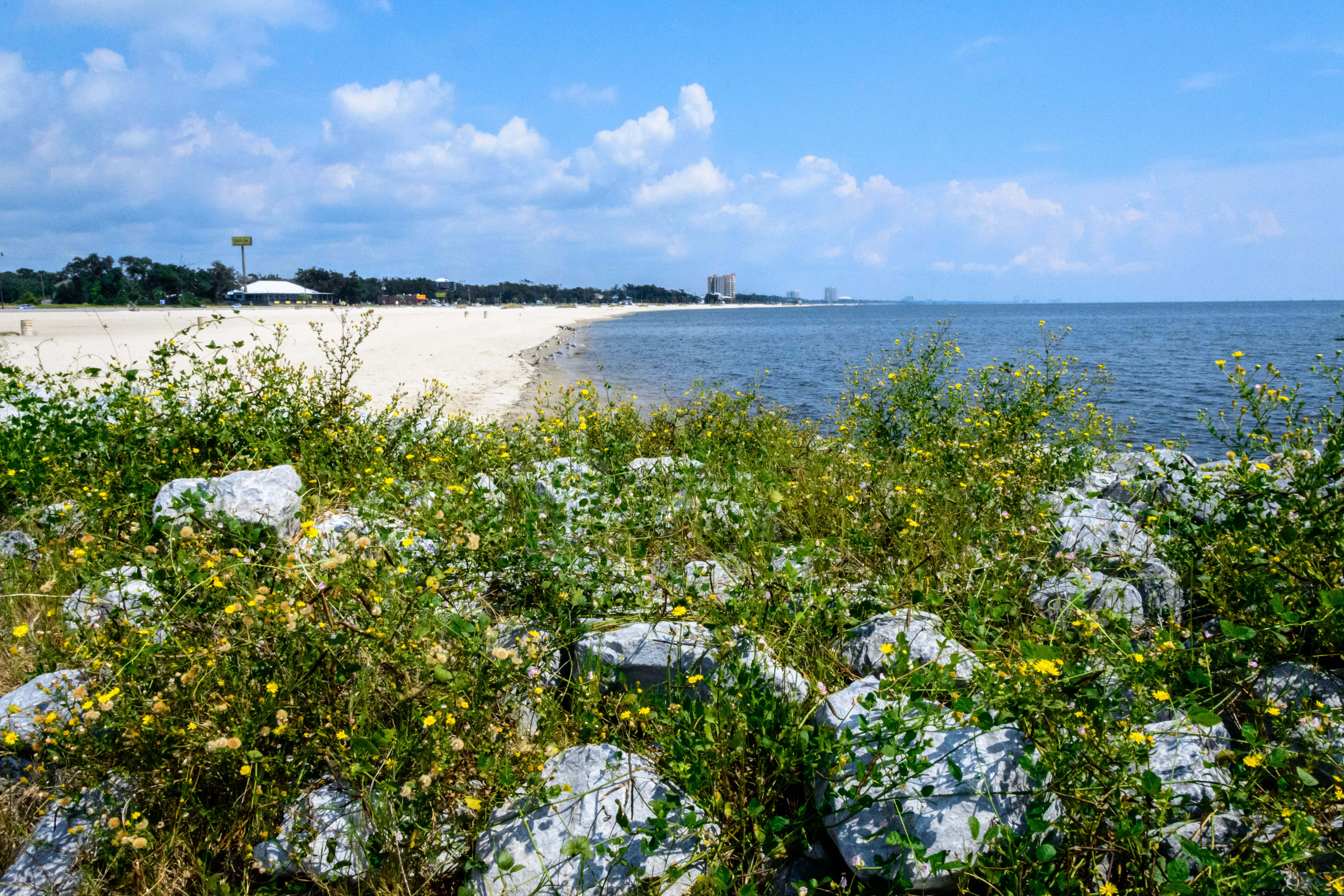 Bucură-te de o zi pe plajă în Gulfport, Mississippi Fundal