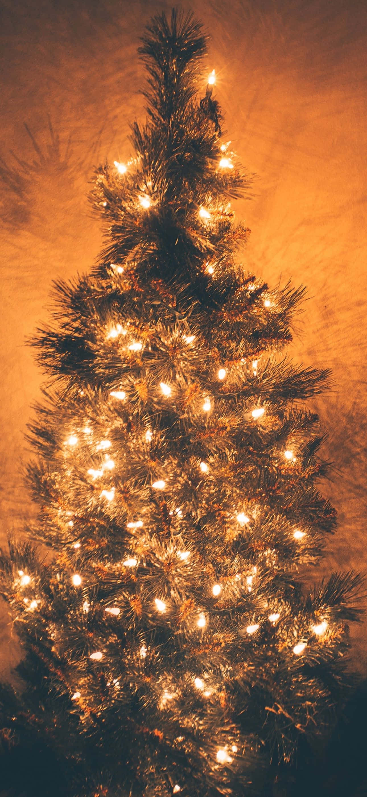 Bucură-te de un Sezon Festiv Magic cu acest Wallpaper de Crăciun pentru iPhone Fundal