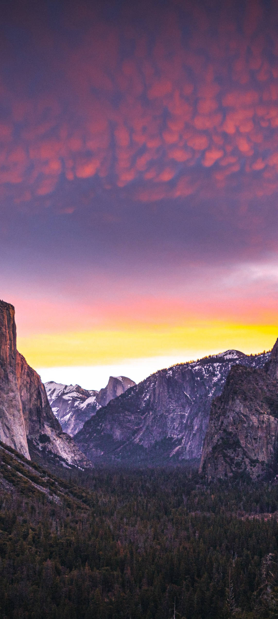 Bucurați-vă de peisajele impresionante din Parcul Național Yosemite pe iPhone Fundal