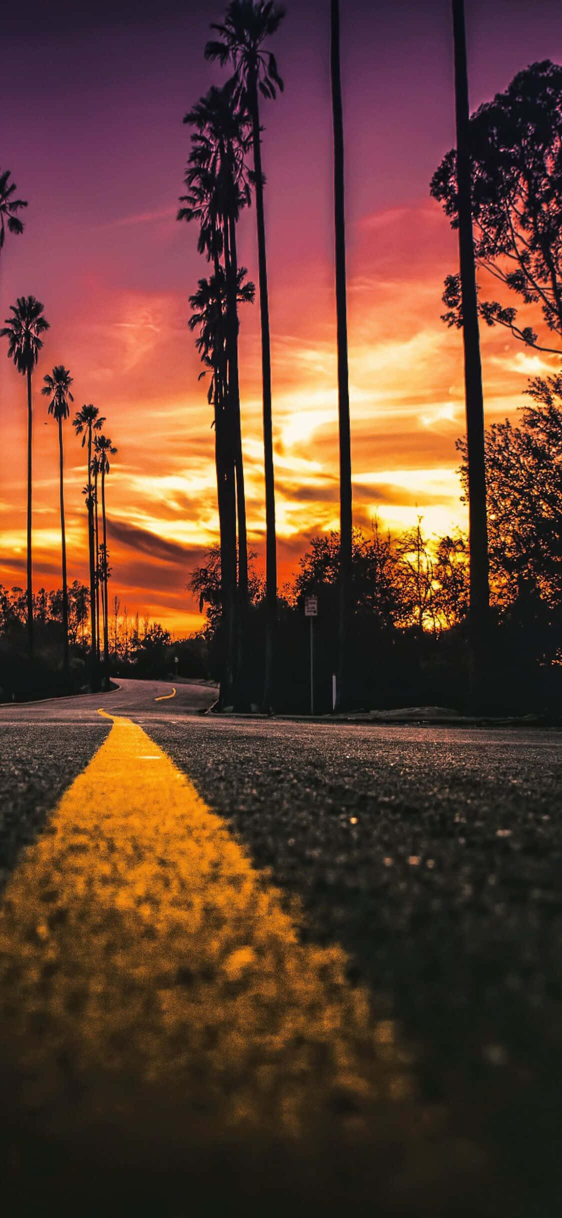 Bucură-te de vederi frumoase ale Californiei cu un iPhone X Fundal