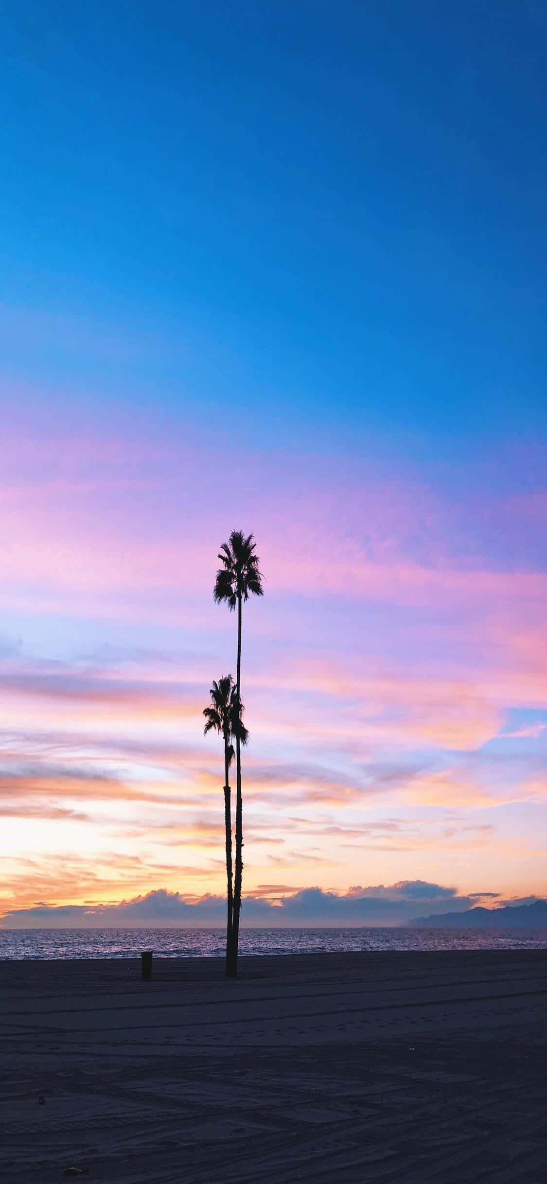 Bucură-te de viața în Statul de Aur cu iPhone X California Fundal