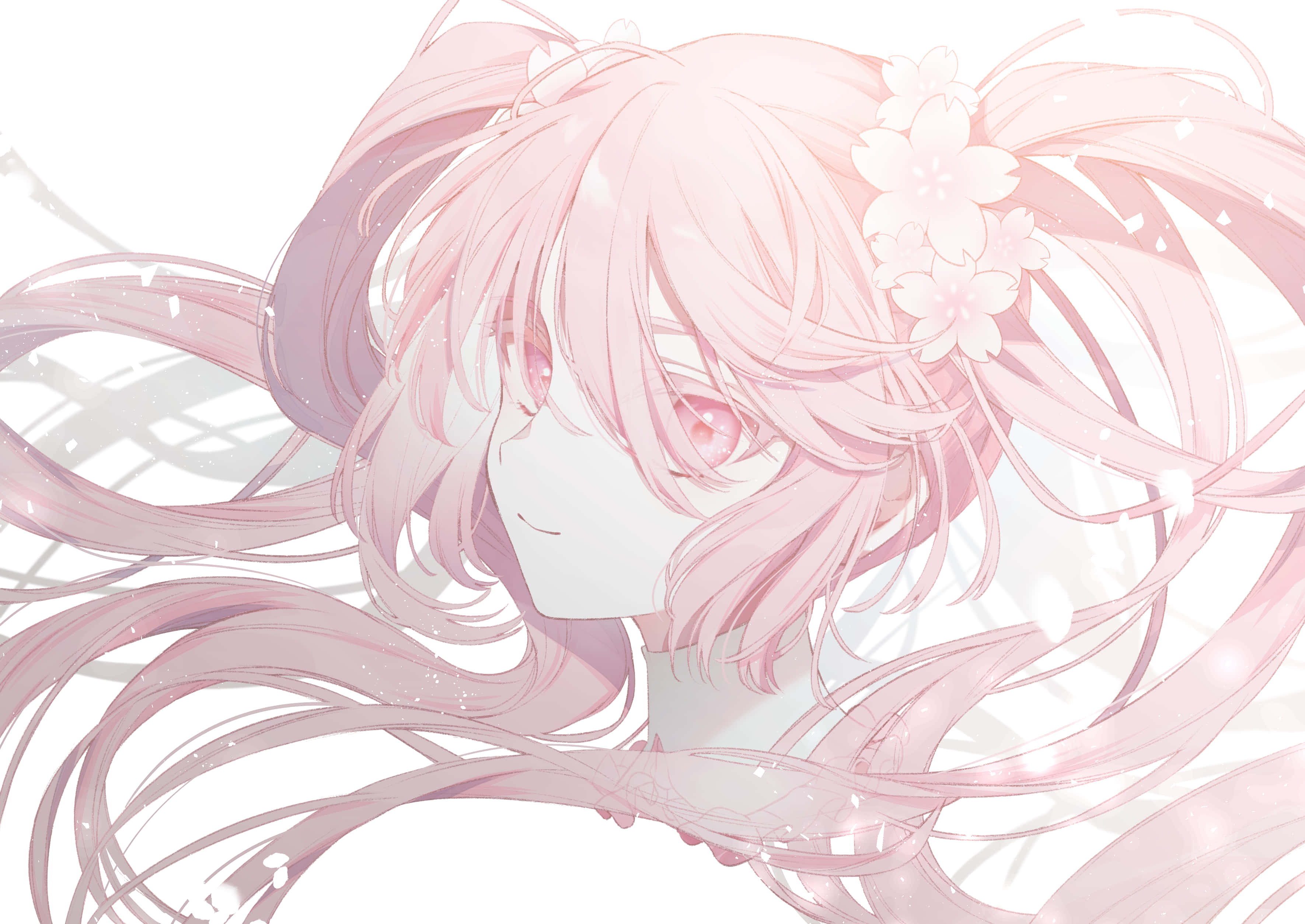 Bucurându-se de frumoasele petale de cireș alături de Sakura Miku Fundal
