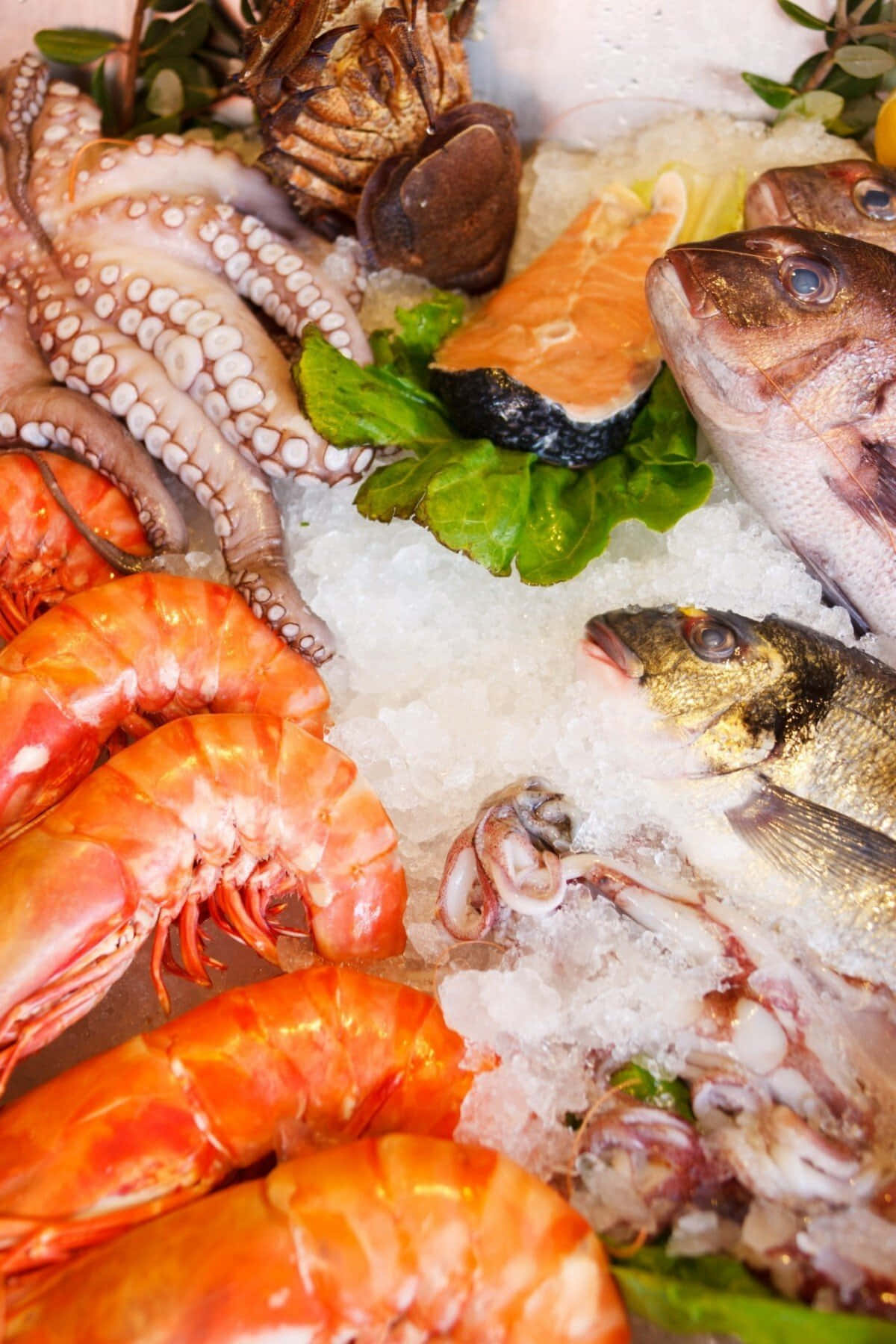Bucură‑te de un Fel de Mâncare Proaspătă din Fructe de Mare Fundal