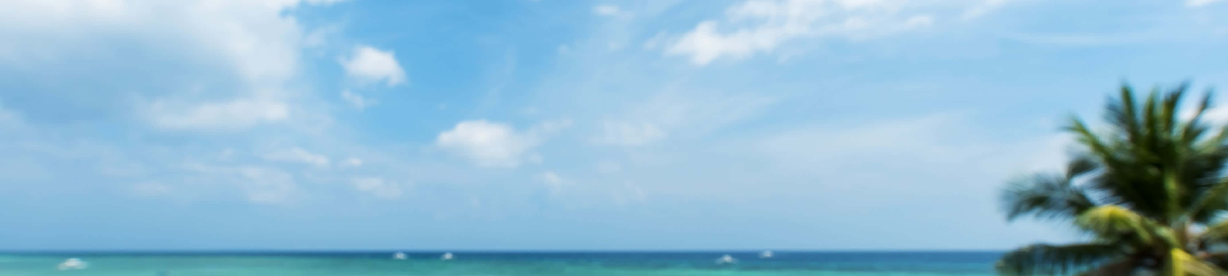 Bucurați-vă de frumusețea naturii Fundal