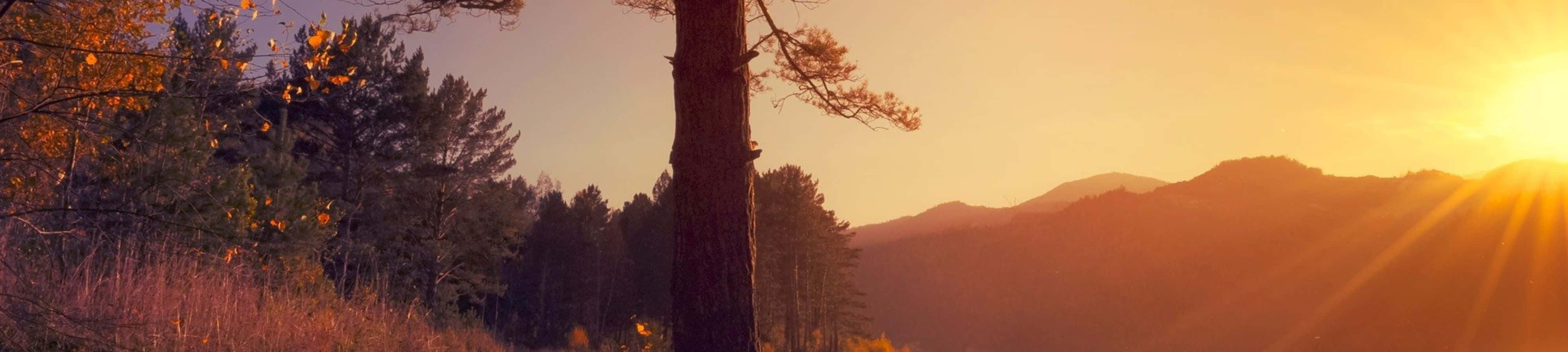 Bucurați-vă de frumusețea naturii Fundal