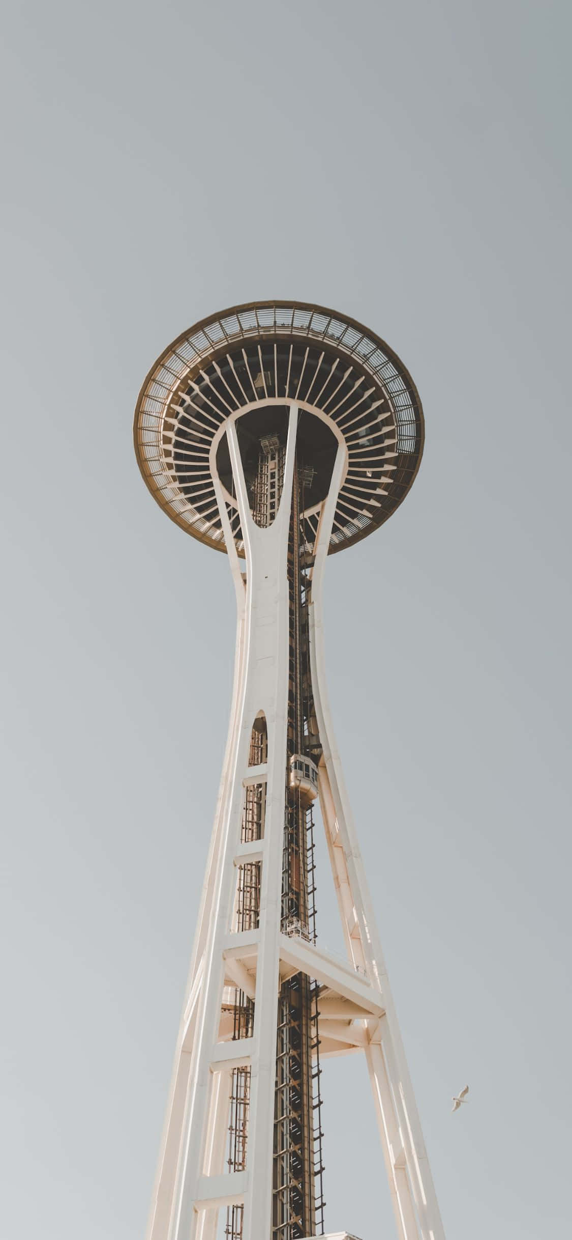 Bucurați-vă de impresionantul orizont al Seattle-ului din perspectiva unui iPhone X. Fundal