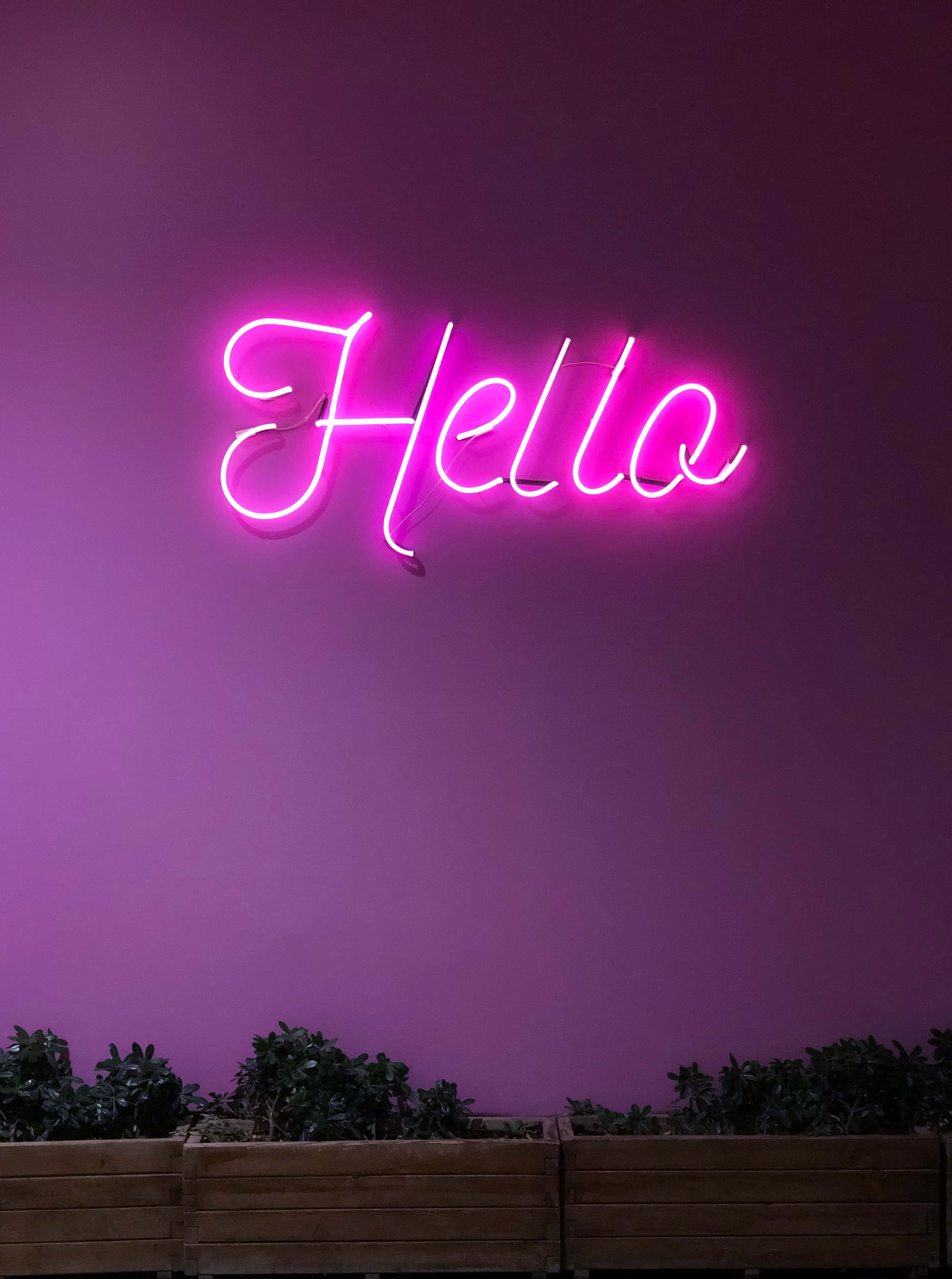 Bucurați-vă de o experiență unică și colorată cu Purple Neon Fundal