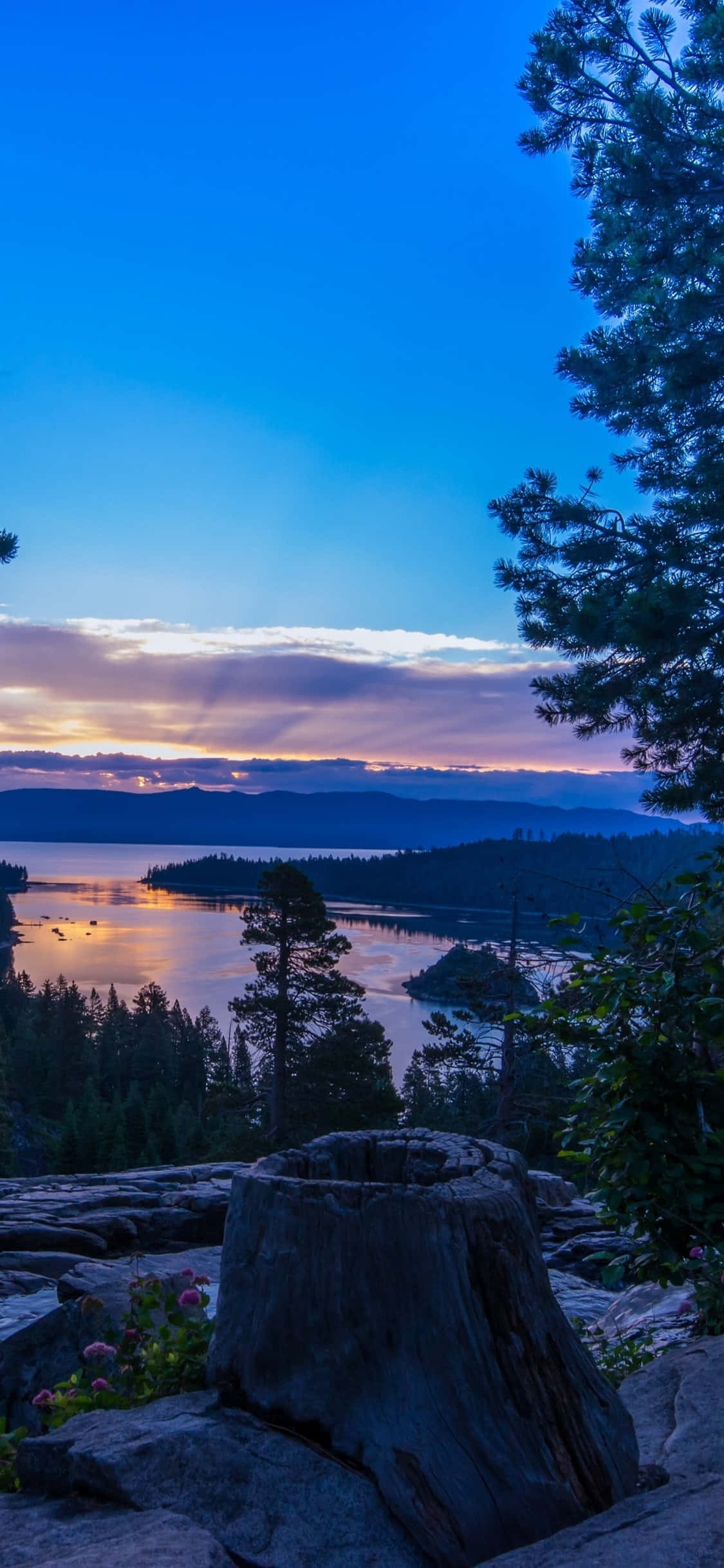 Bucurați-vă de peisajele impresionante din California cu iPhone X Fundal