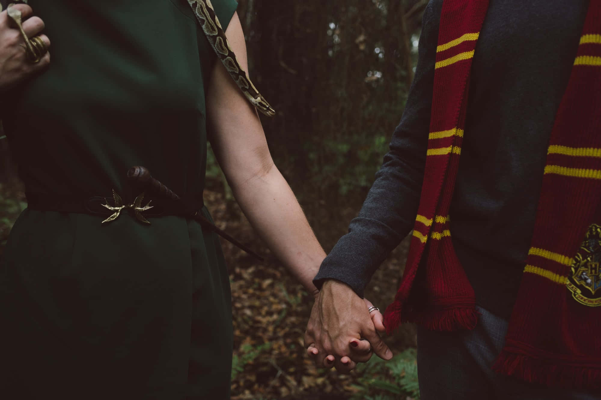 "Bun venit în Estetica Slytherin, Îmbracește-ți Șerpii Interior!" Fundal