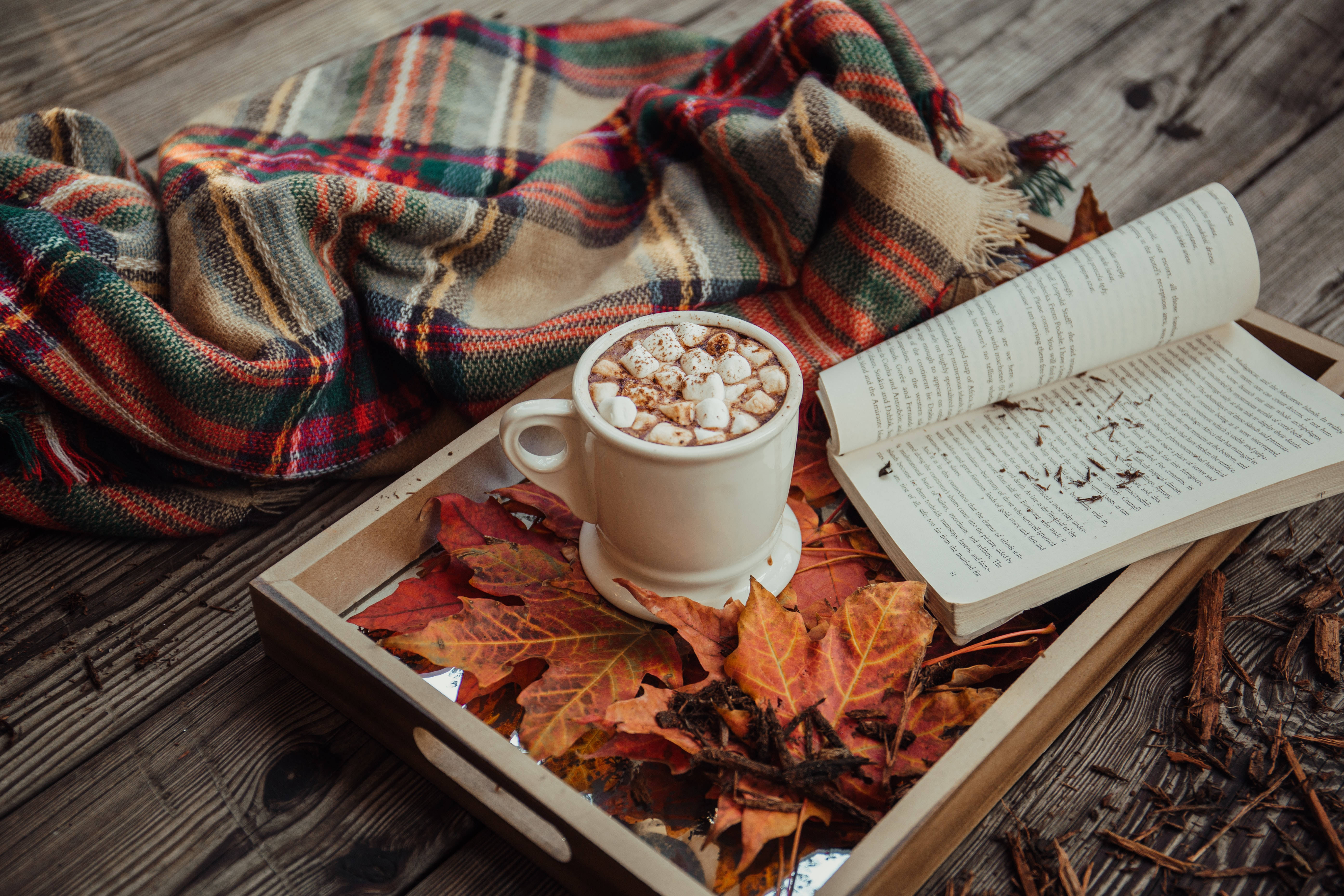 Cacao cald de toamnă și frunze de toamnă Fundal