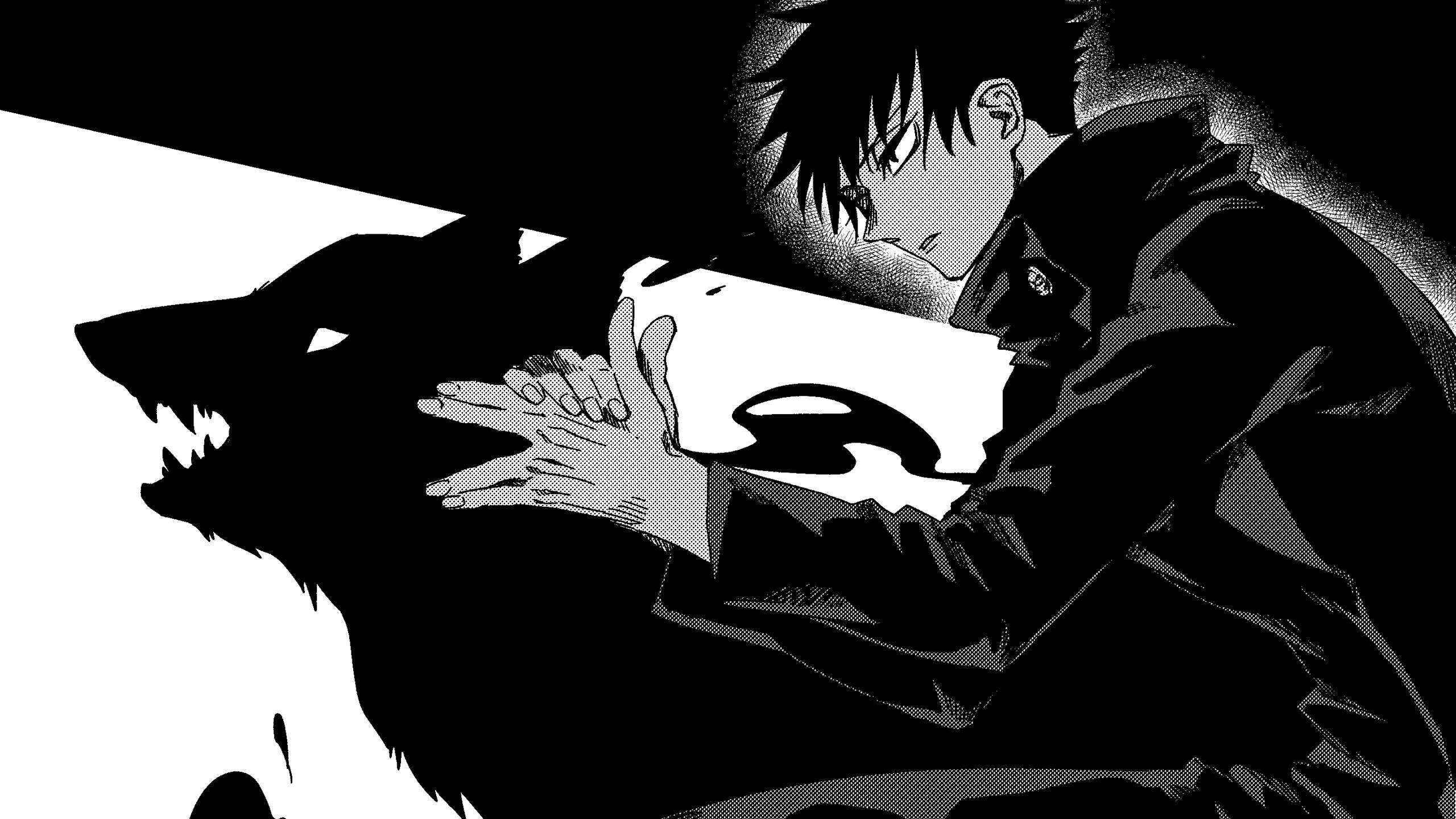 Câinele Divin al lui Fushiguro în Jujutsu Kaisen Fundal