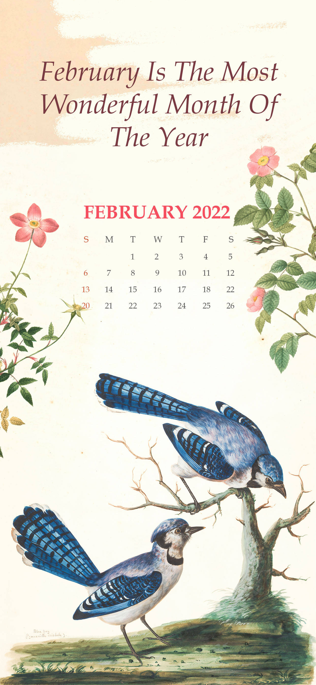 Calendar Februarie 2022 cu Păsări Albastre Fundal