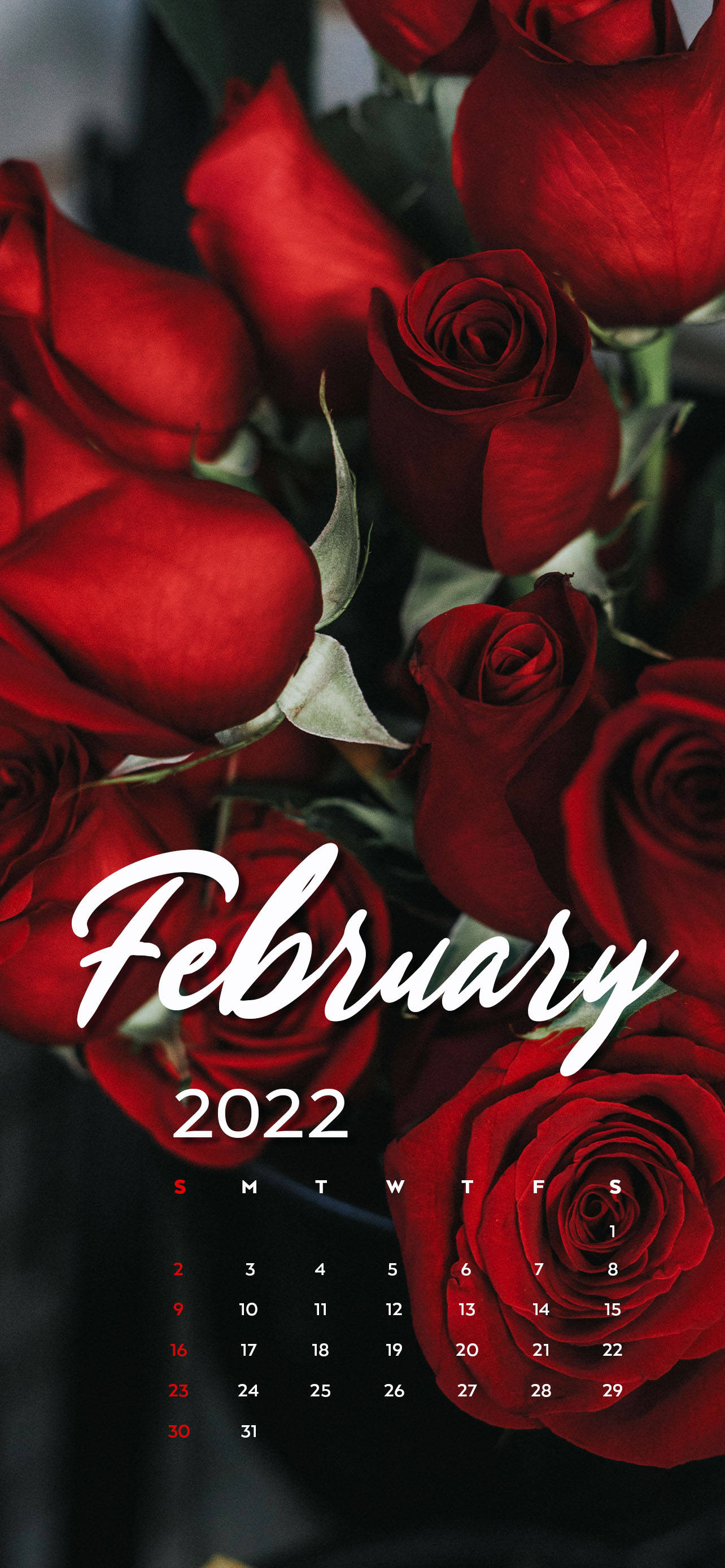 Calendar Februarie 2022 Trandafiri Roșii Fundal