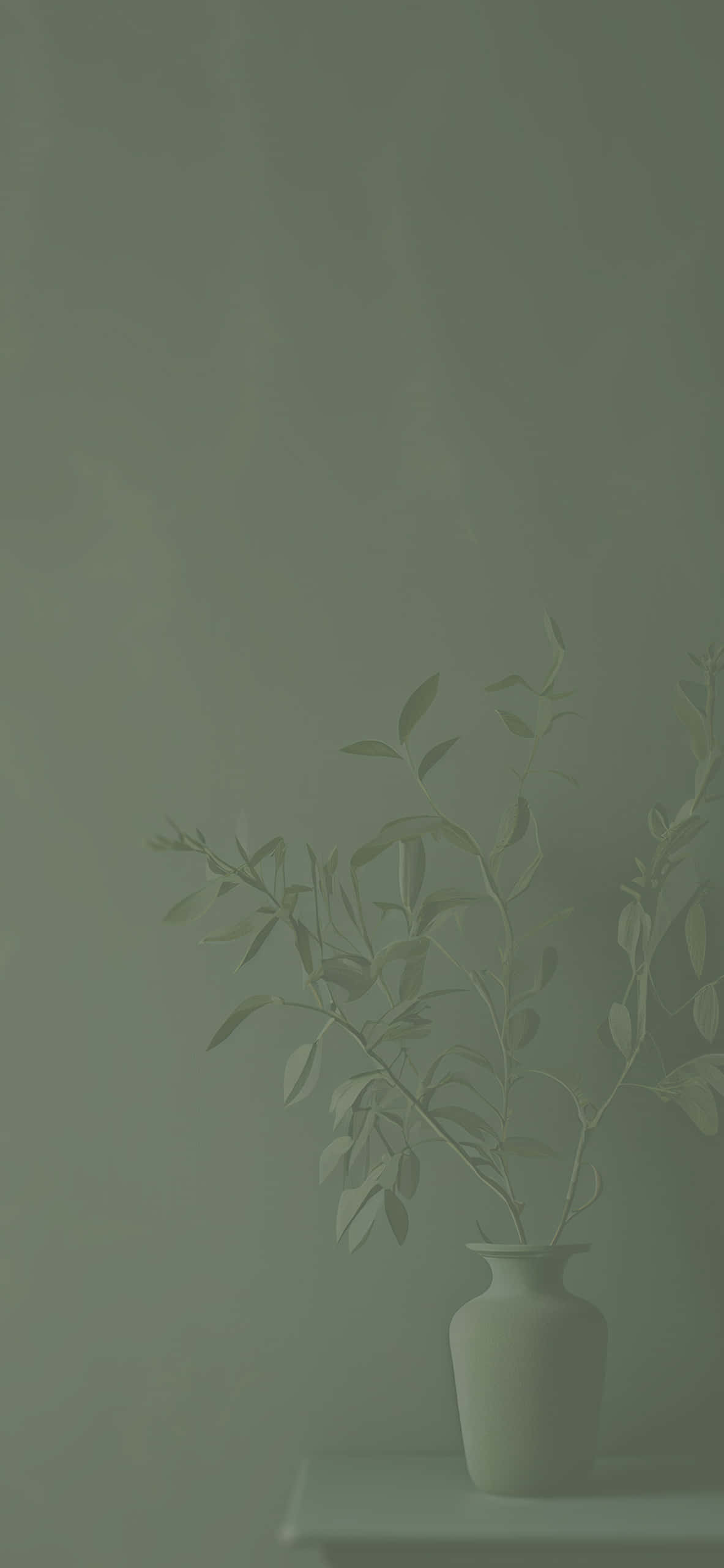 Calmă Delicatete a Fundalului Verde Salvie Fundal
