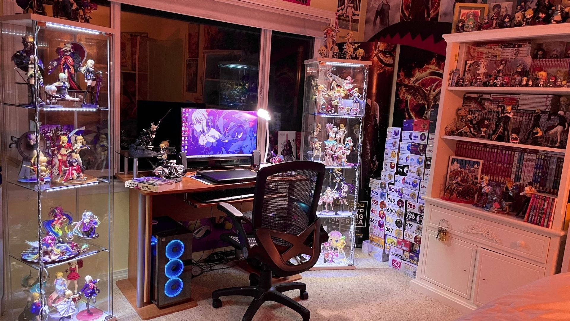 Camera Colecționarului de Anime Fundal