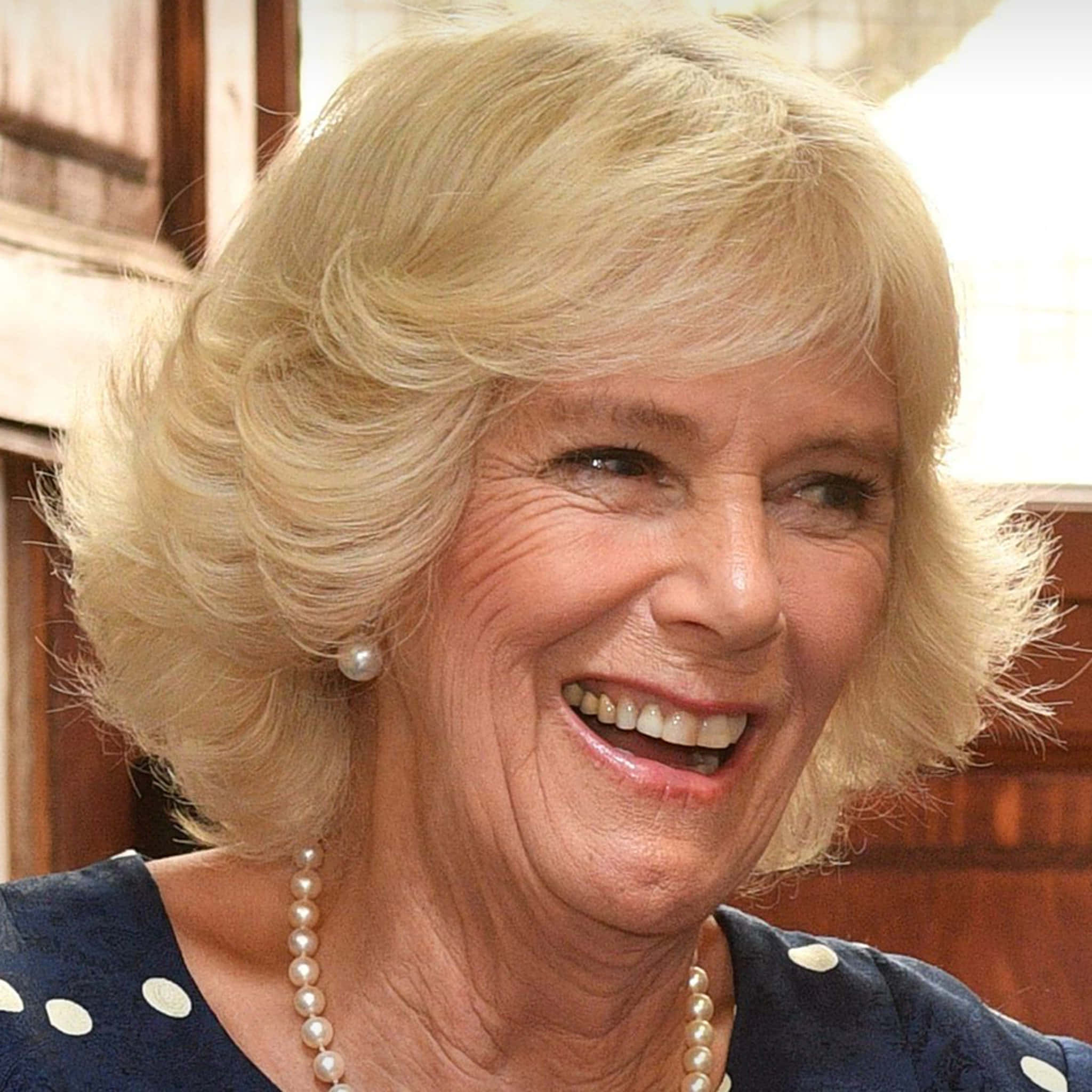 Camilla râde mobil Fundal