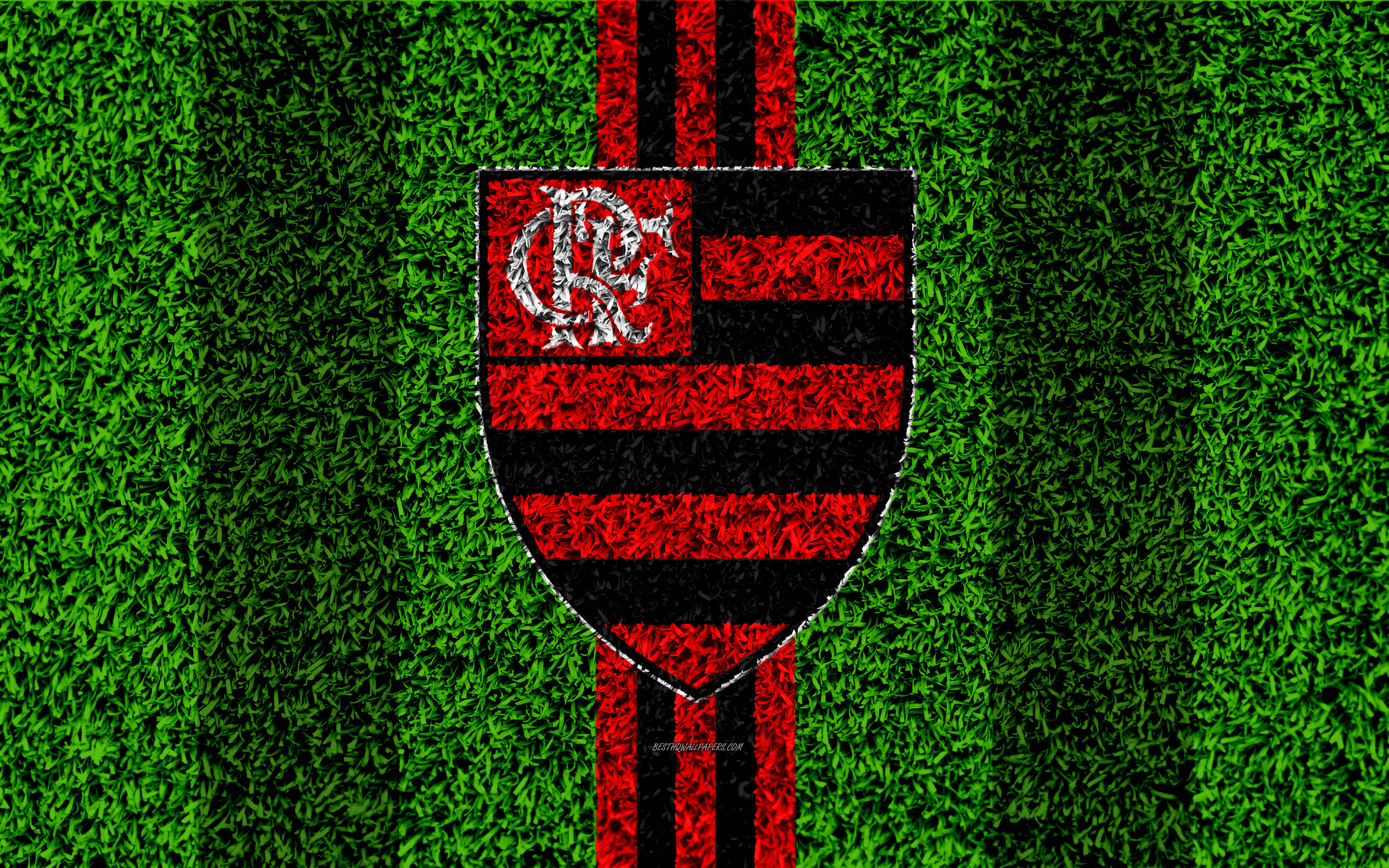 Camp de Iarbă Flamengo FC Fundal