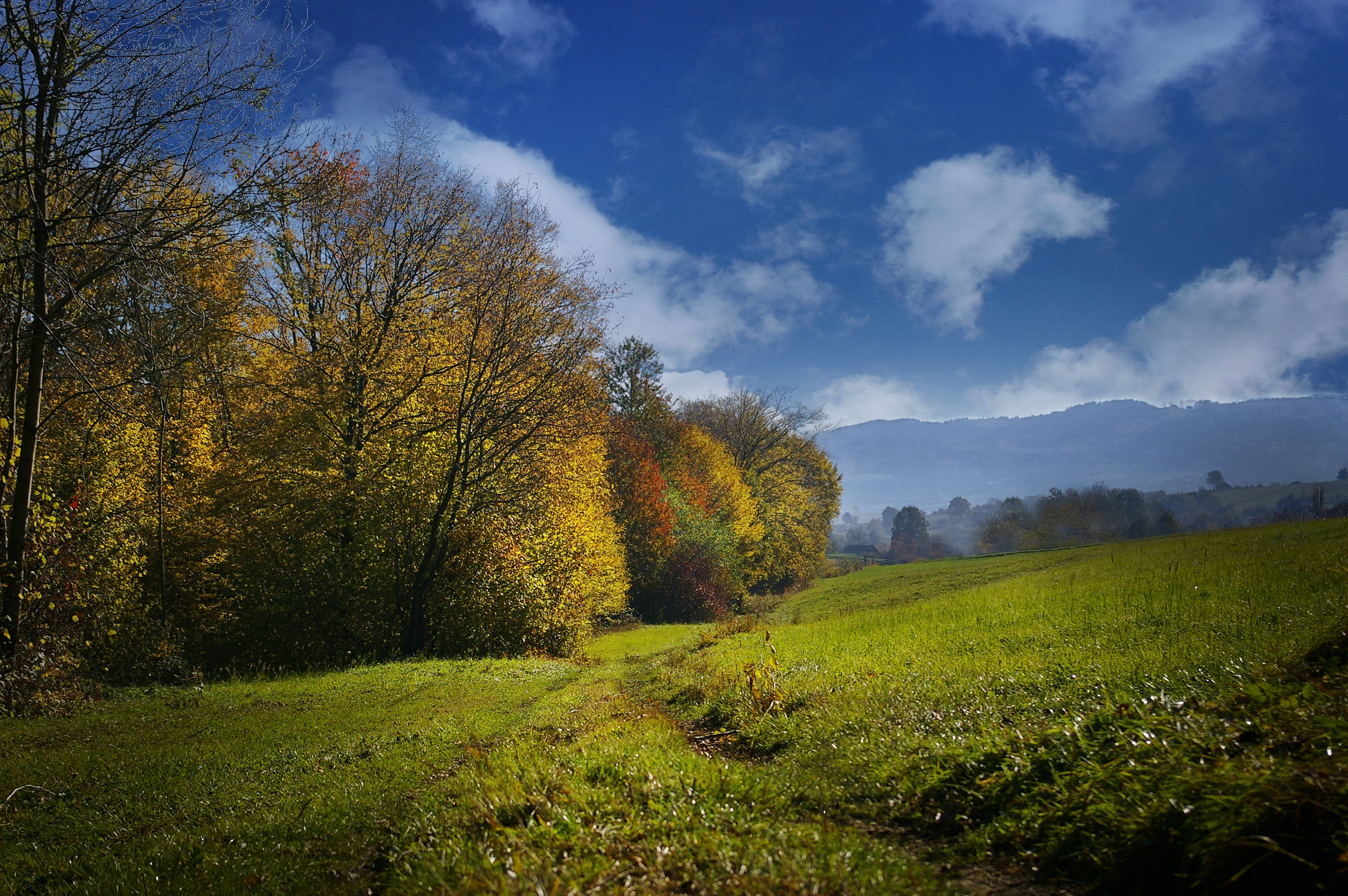 Câmp Verde în Peisaj de Toamnă Fundal
