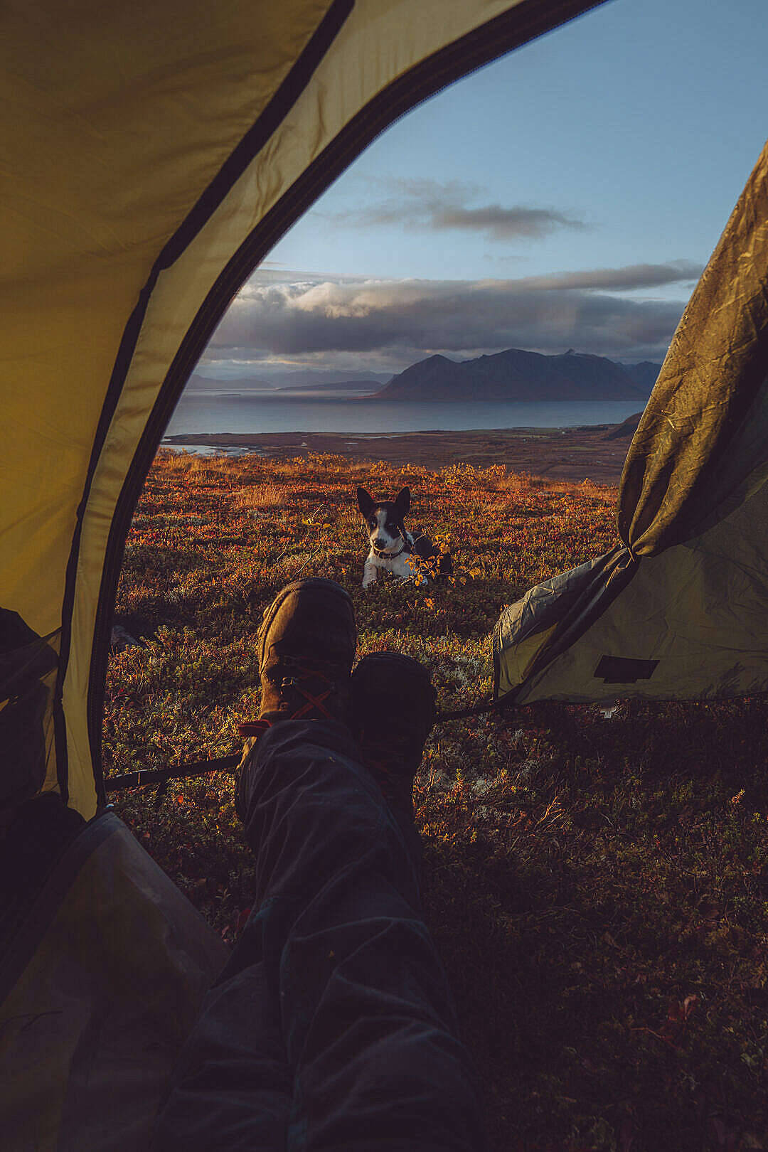 Camping în aer liber cu un Chill iPhone Fundal