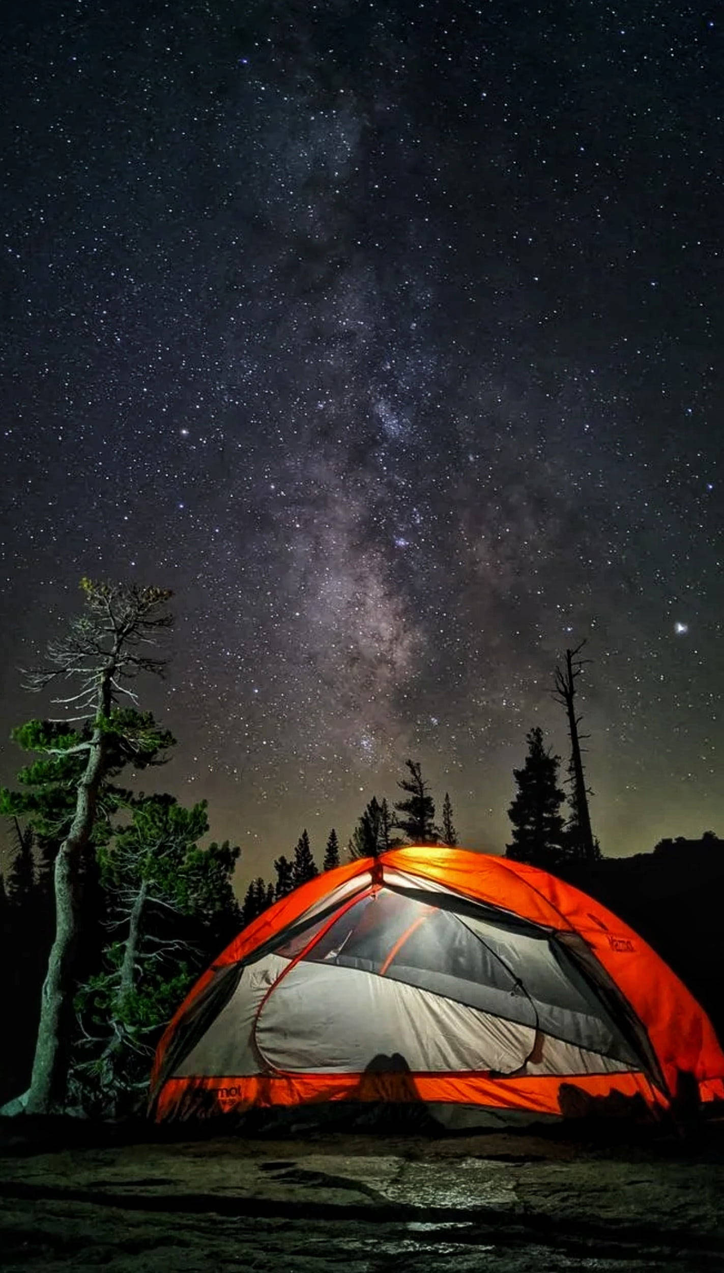 Camping sub stele Google Pixel 4 Fundal