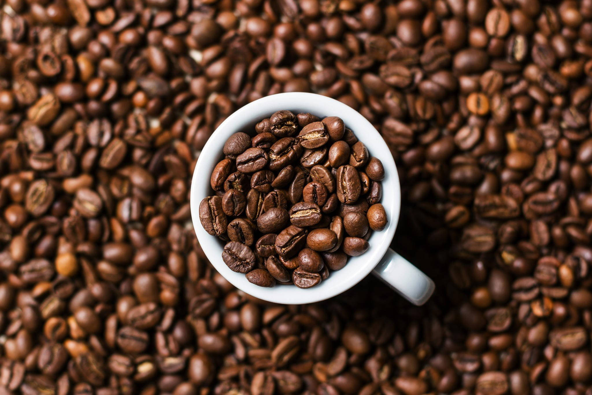 Cană albă umplută cu boabe de cafea Fundal