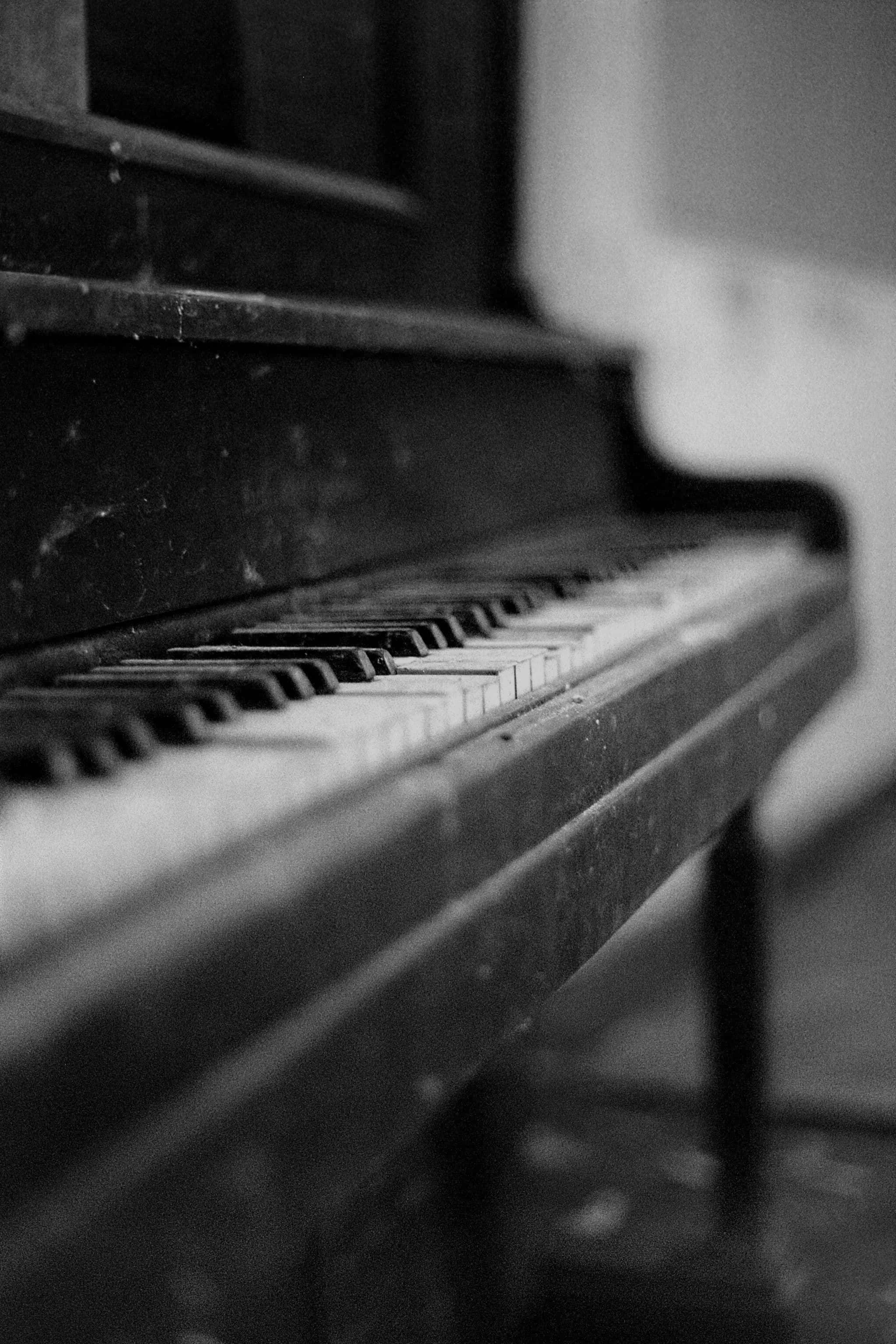 Cântând melodiile dulci ale unui Pian Grand Fundal