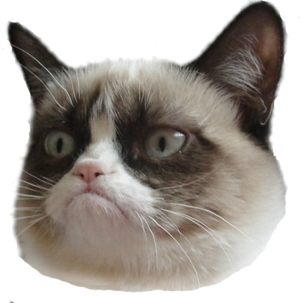 Cap de pisică morocănoasă fundal transparent.PNG Fundal