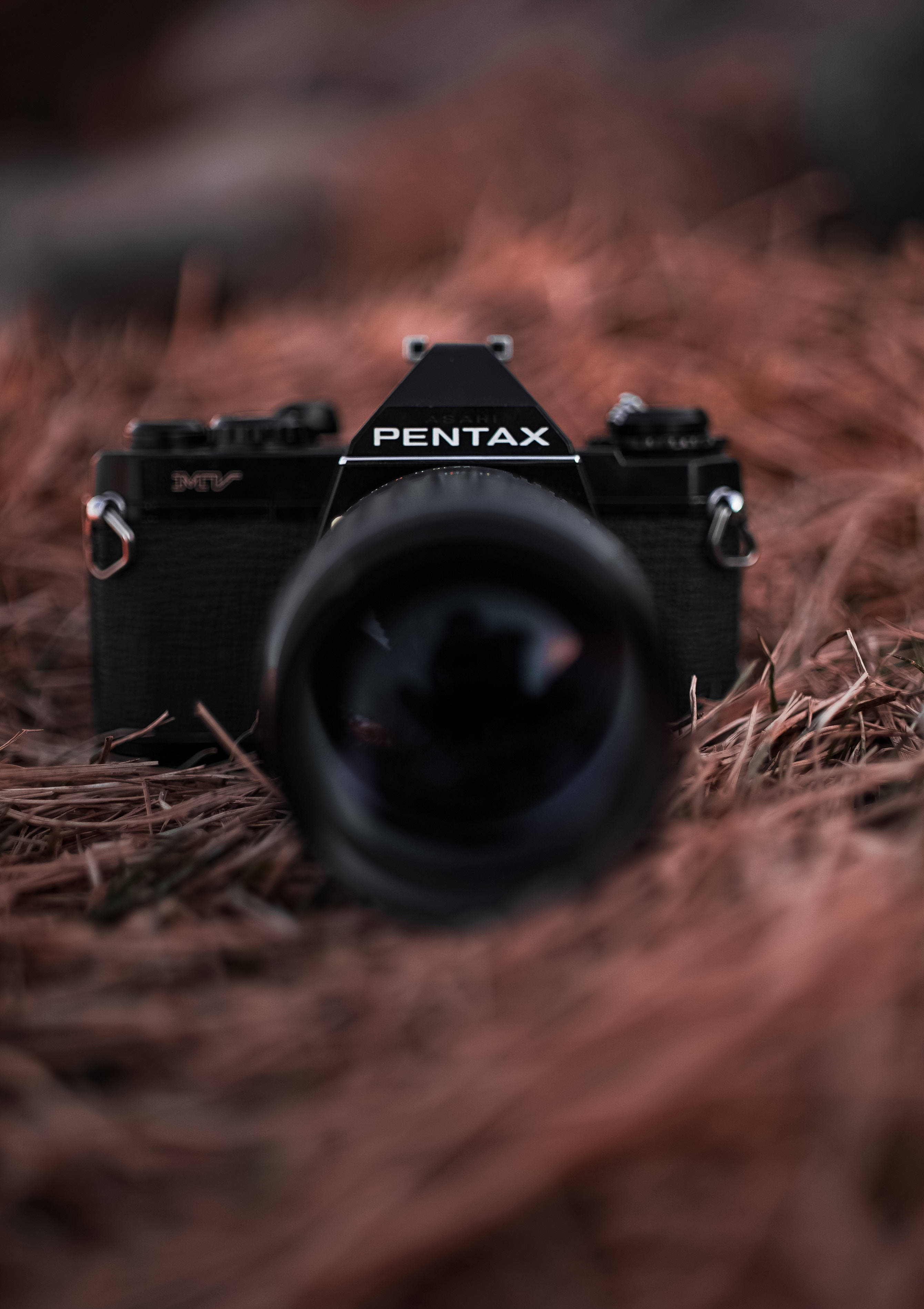 Capturați frumusețea vieții cu un aparat Pentax Fundal