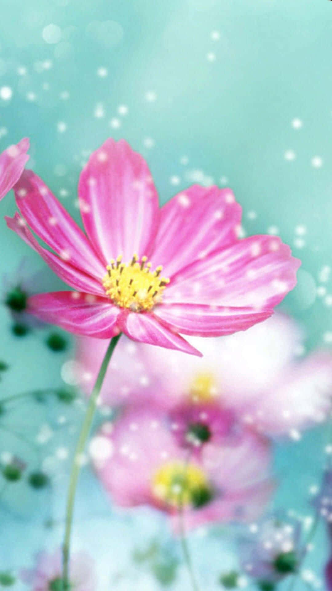 Captează frumusețea naturii cu acest wallpaper vibrant cu flori pentru iPhone Fundal