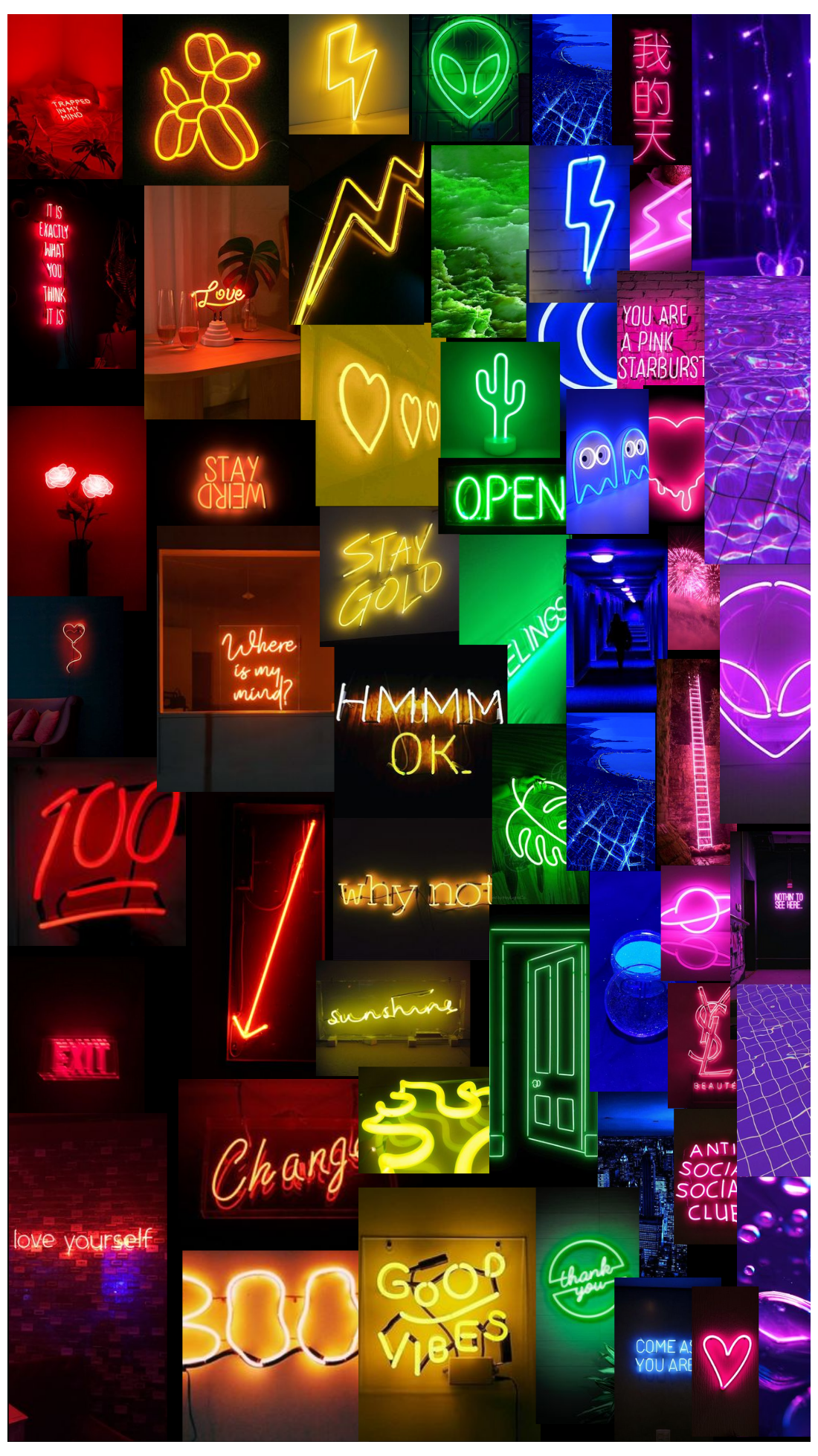 Caption: Splendoare Neon Iluminant Fundal