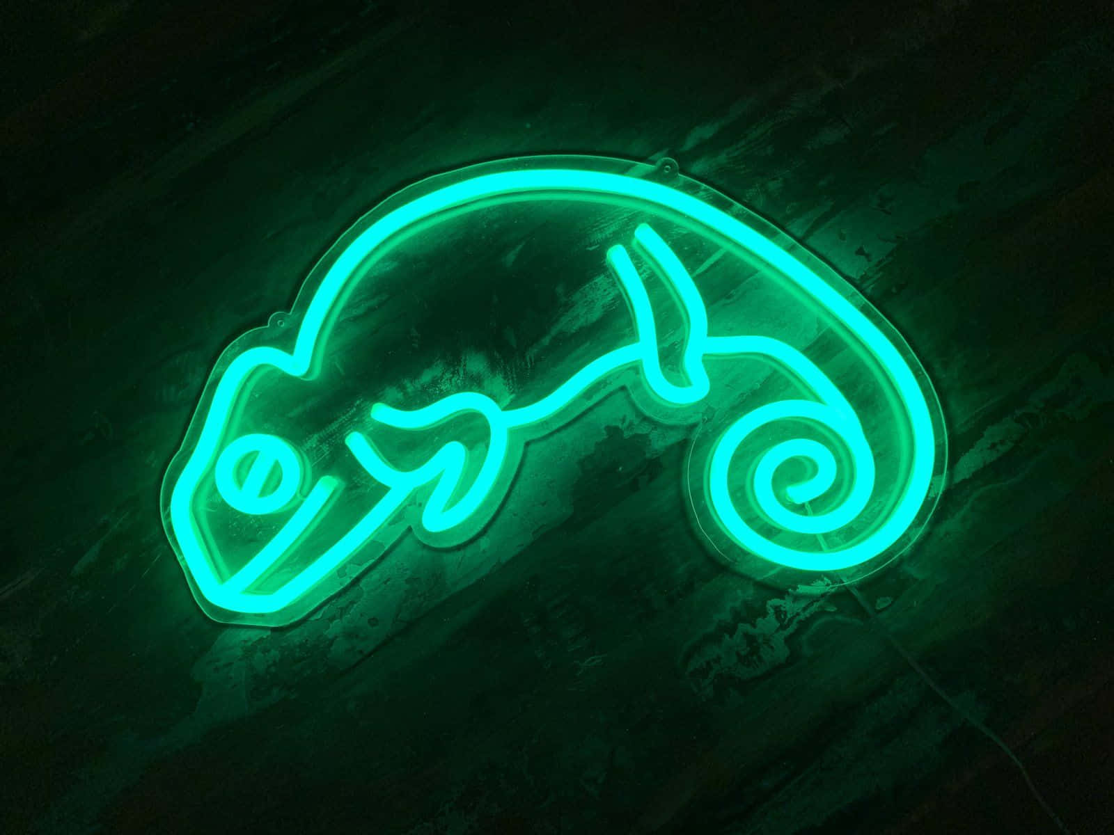 Captivant fundal estetic verde neon Fundal