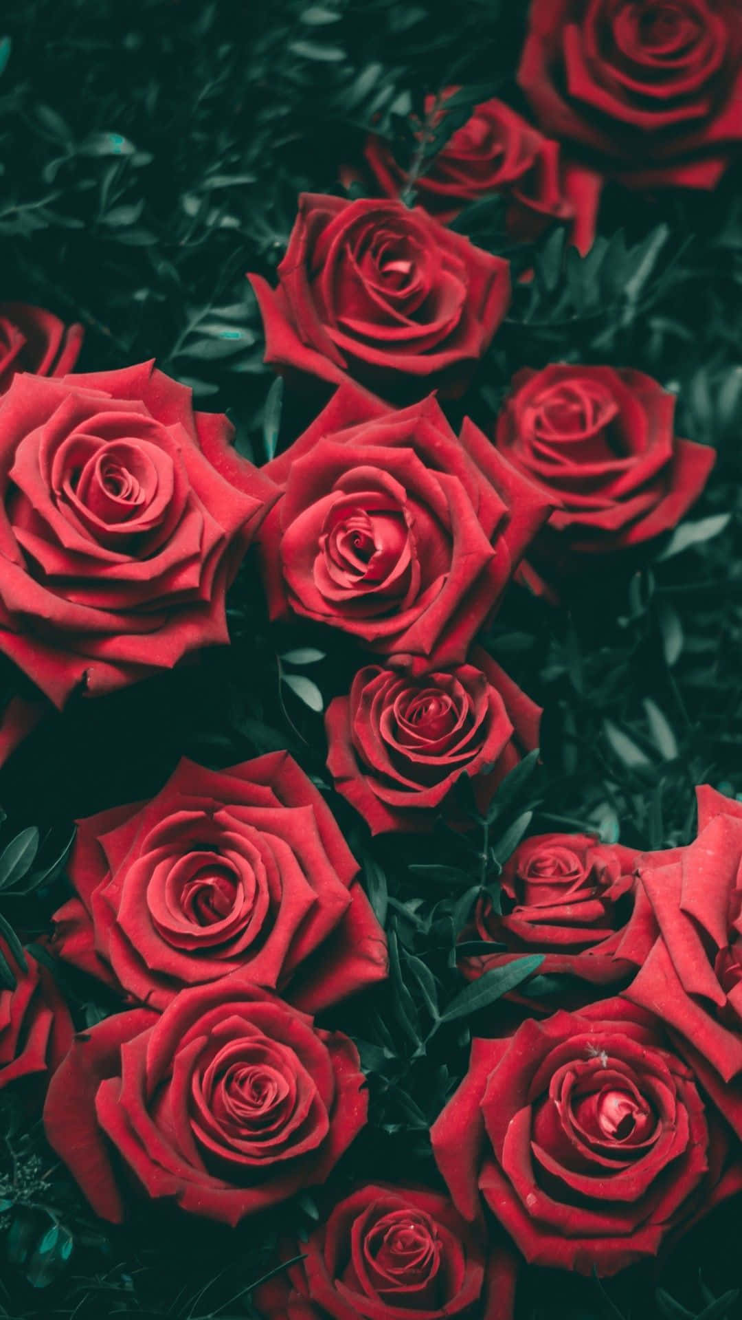 Captivant Fundal Floral pentru Telefonul Tău Fundal