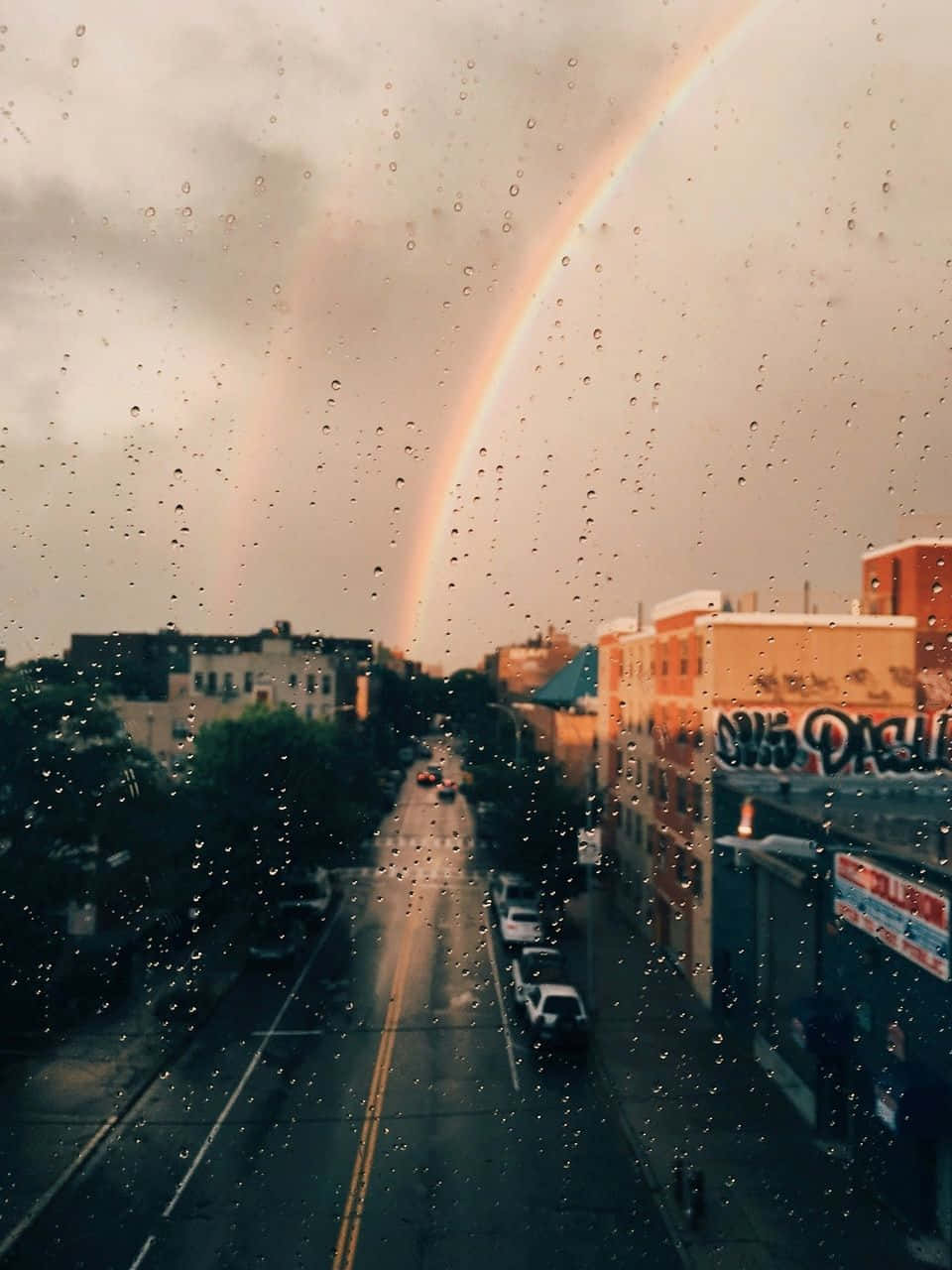 Captivantă Paletă de Culori Fundal