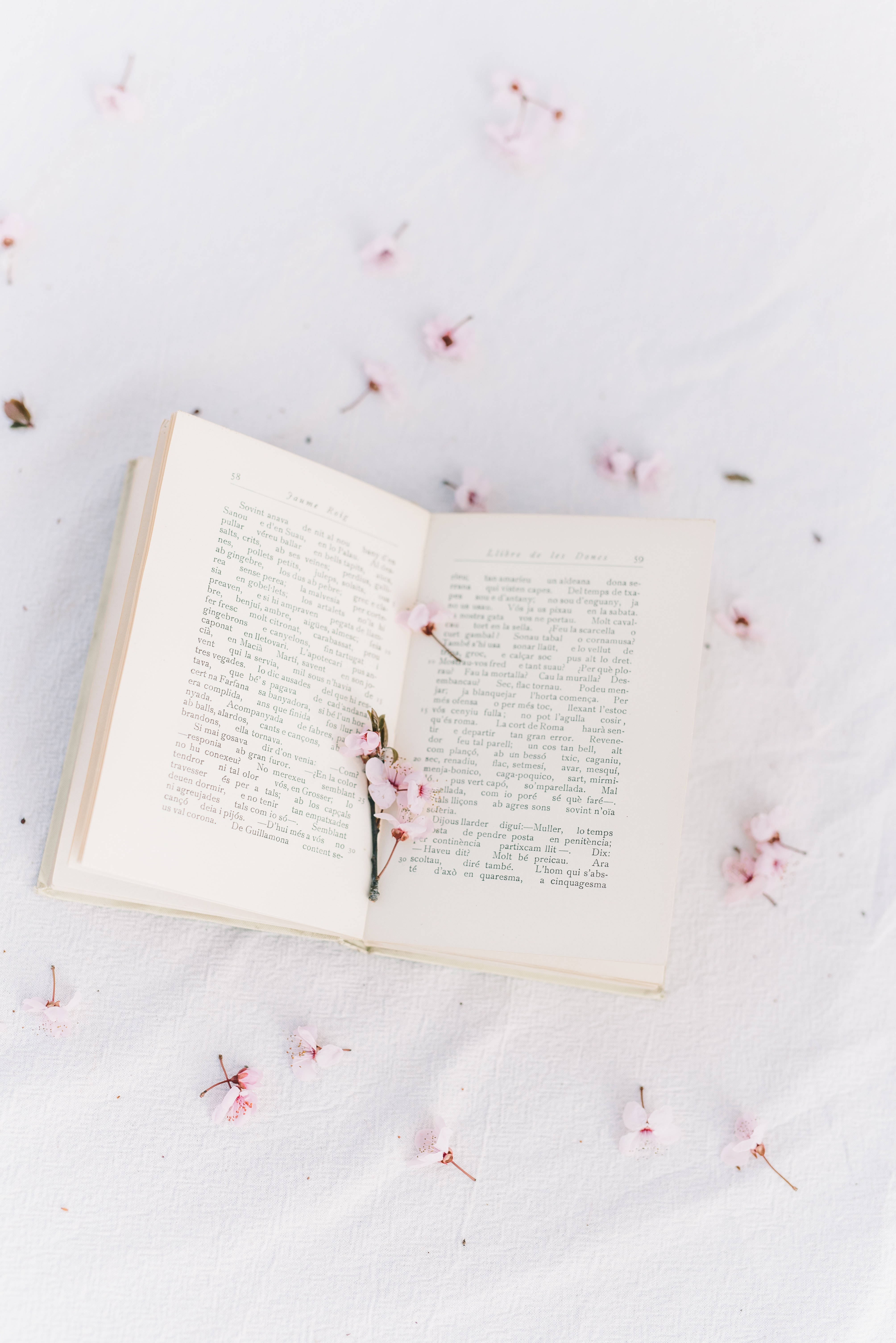 Carte cu Sakura în stil preppy Fundal