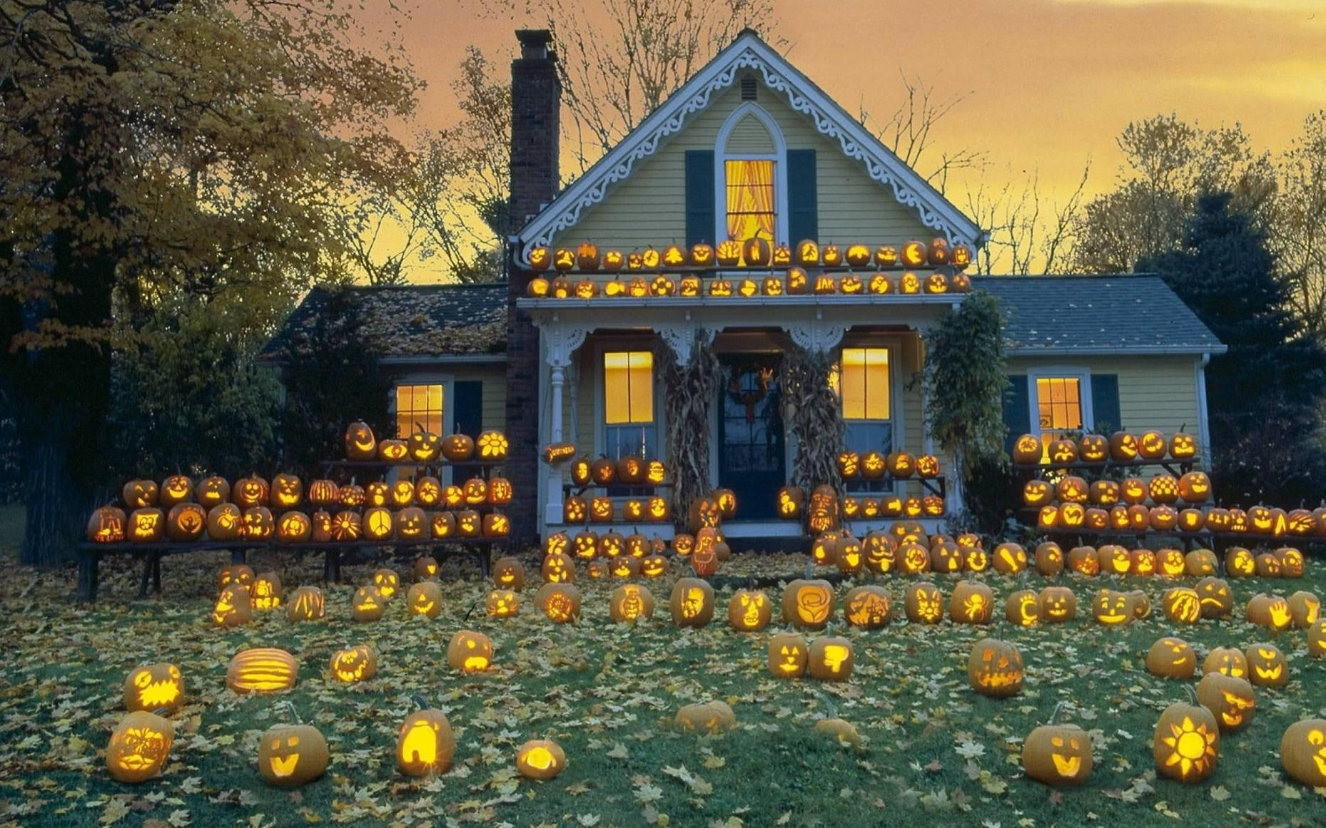Casă de Halloween drăguță cu felinare Jack O' Lantern Fundal