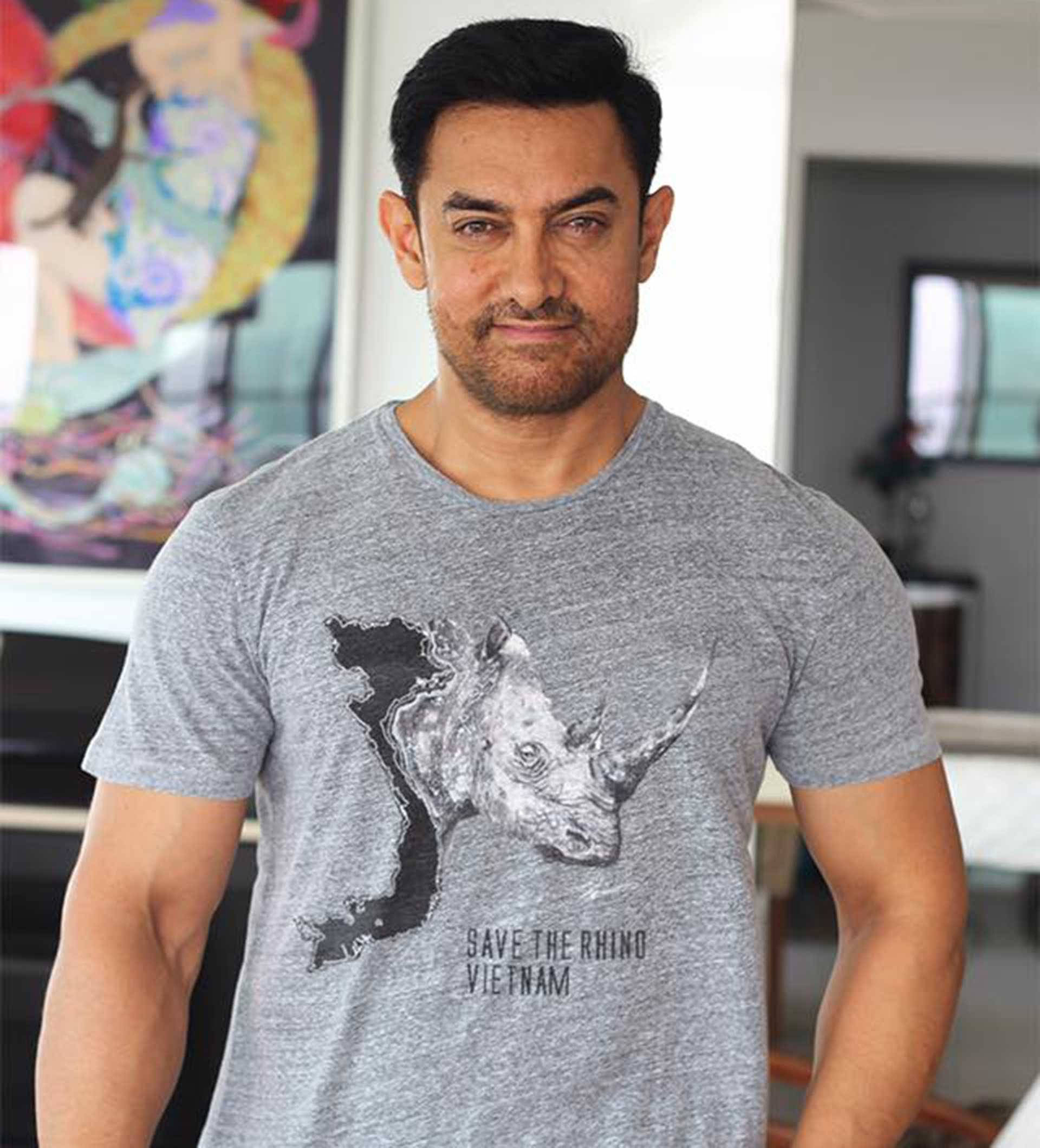 Casa lui Aamir Khan Fundal
